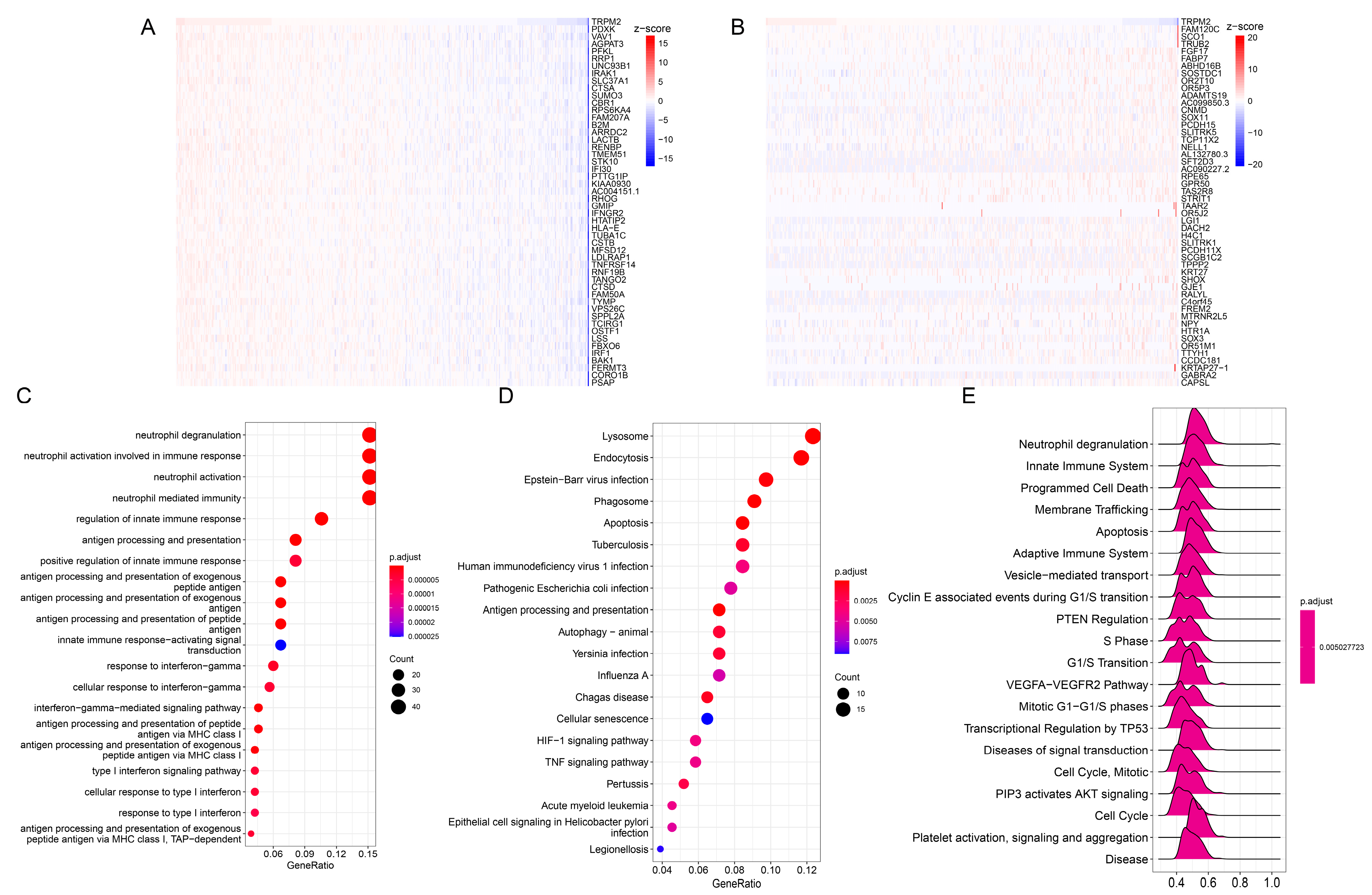 Ijms 24 11912 g004 Ijms 24 11912 g004