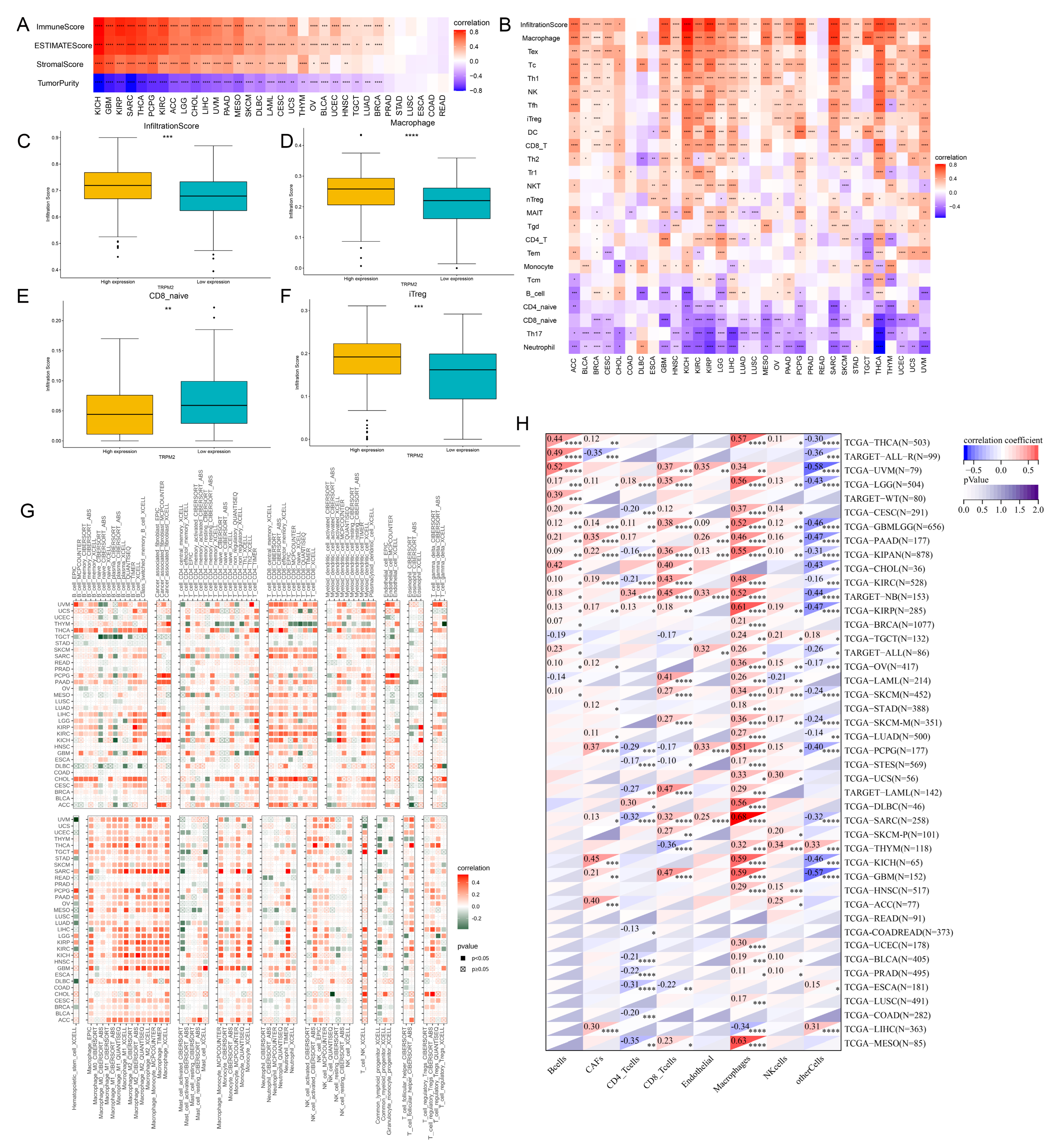 Ijms 24 11912 g005 Ijms 24 11912 g005