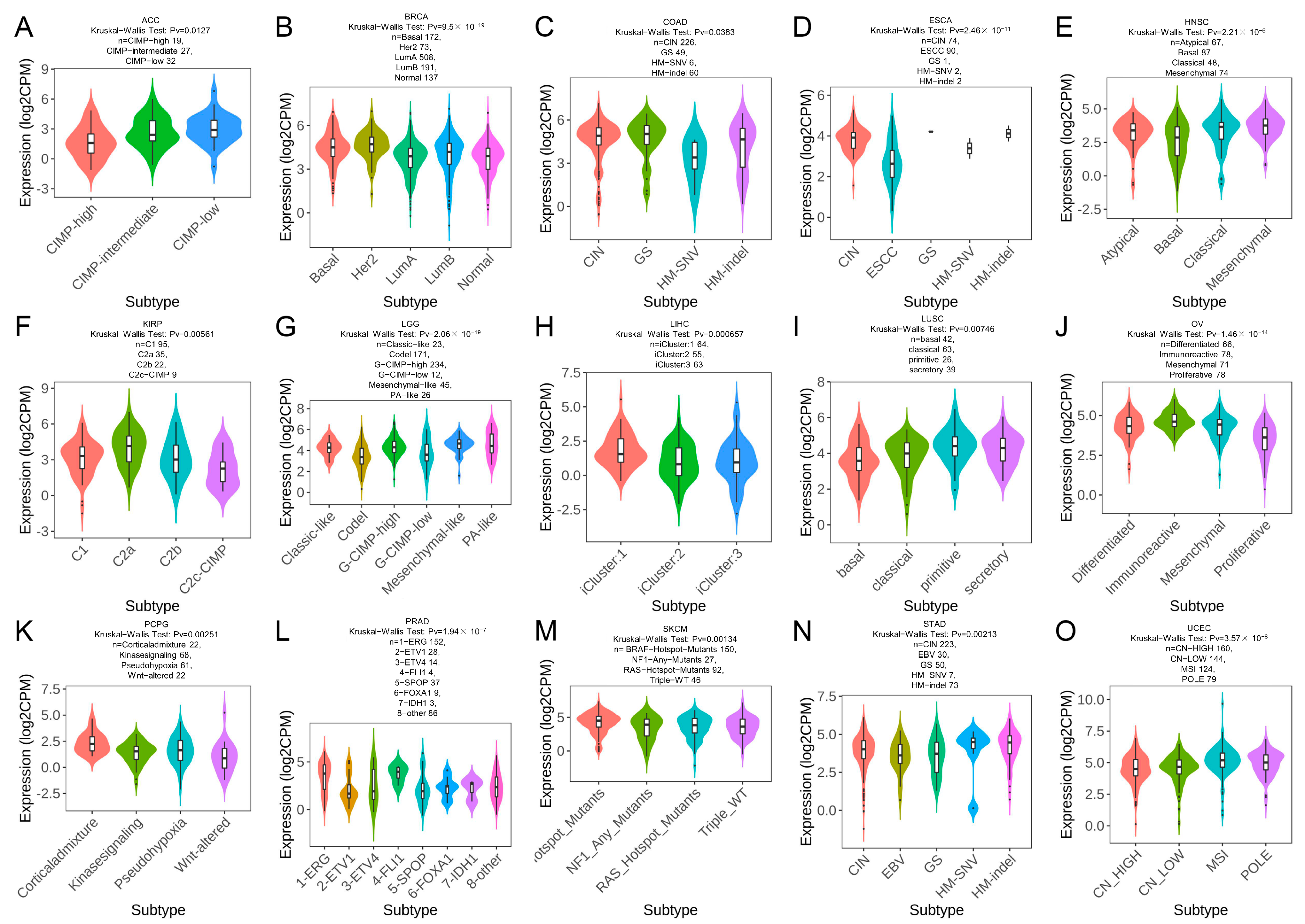 Ijms 24 11912 g008 Ijms 24 11912 g008