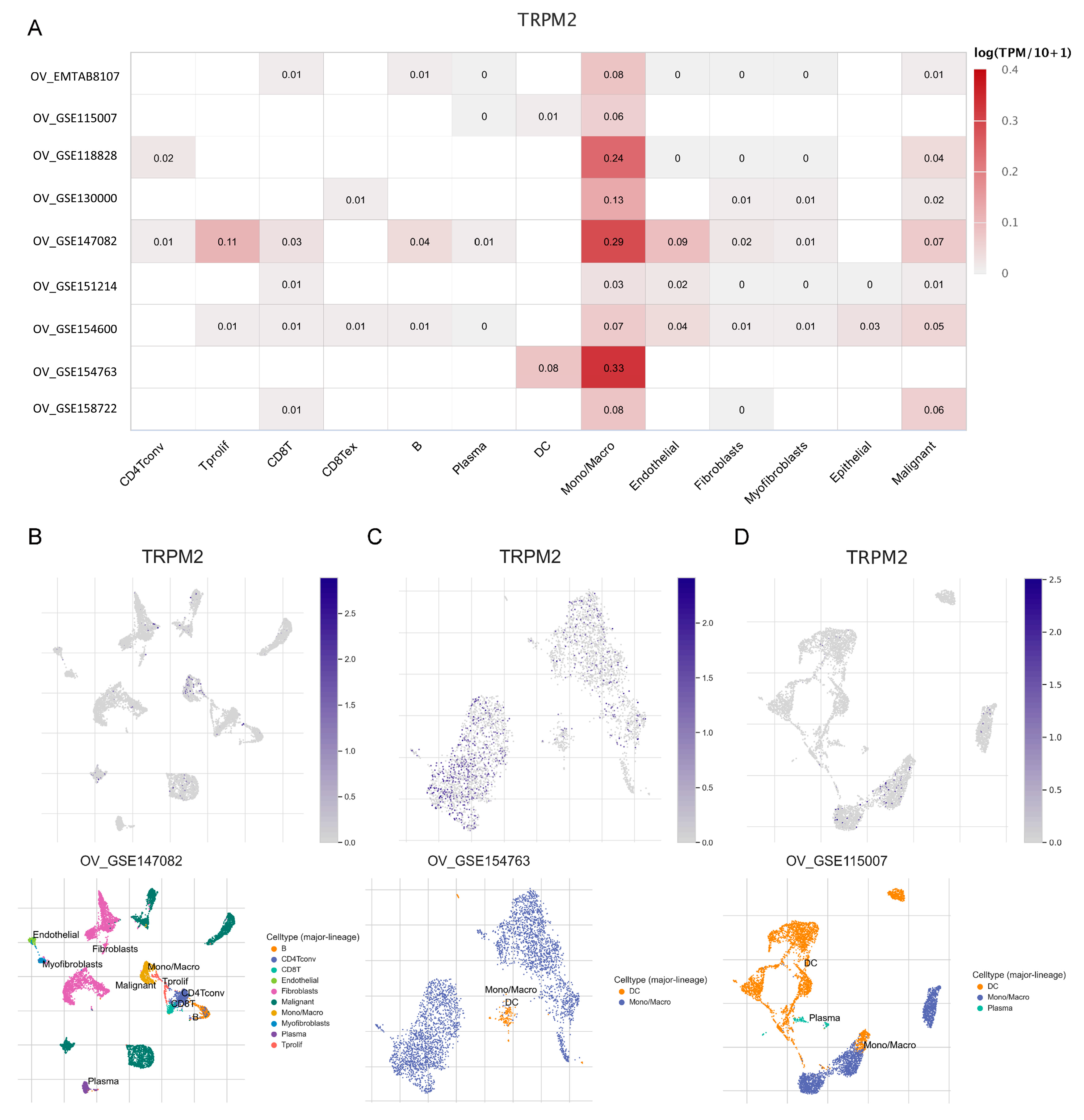 Ijms 24 11912 g010 Ijms 24 11912 g010