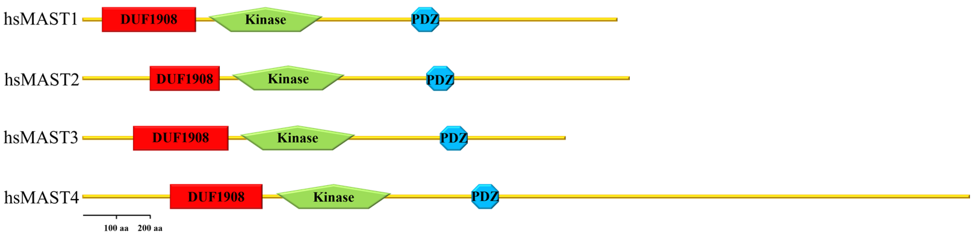 Ijms 24 11913 g001 Ijms 24 11913 g001