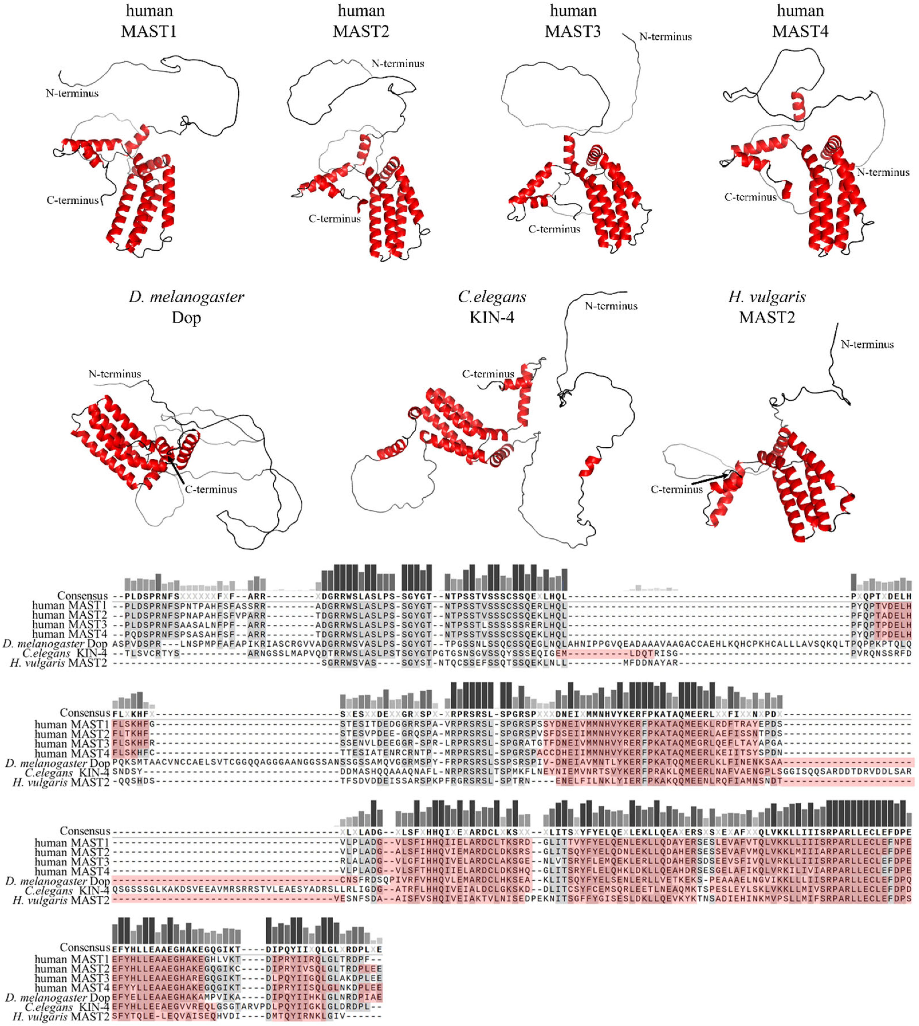 Ijms 24 11913 g002 Ijms 24 11913 g002