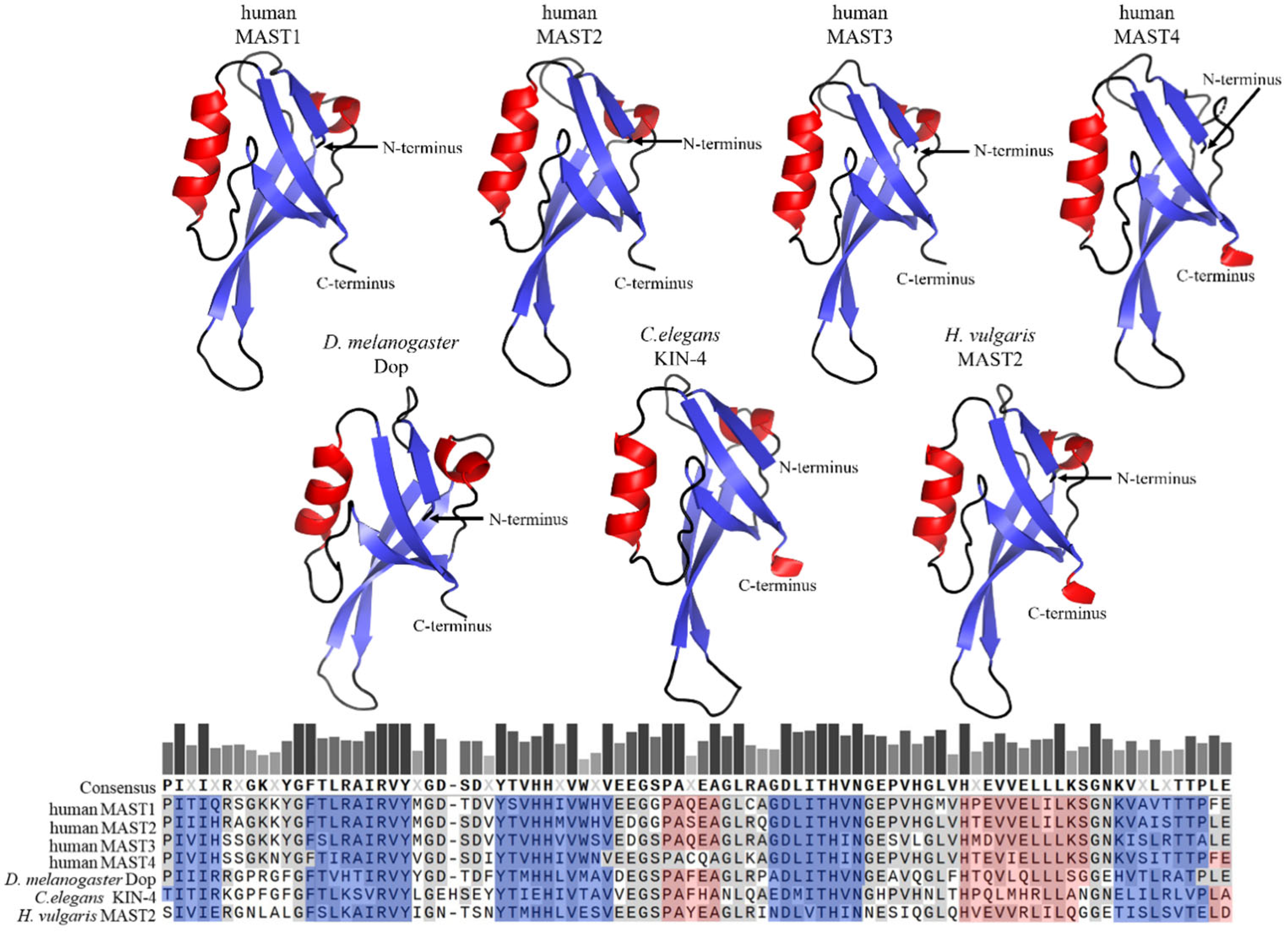 Ijms 24 11913 g003 Ijms 24 11913 g003