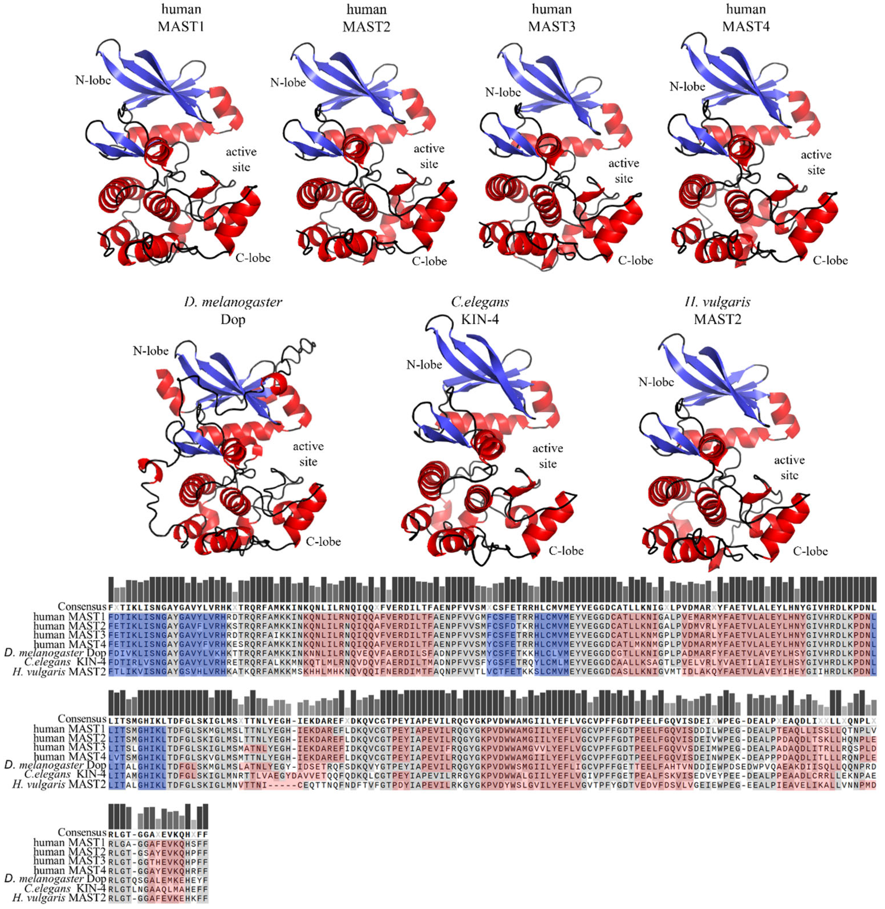 Ijms 24 11913 g004 Ijms 24 11913 g004