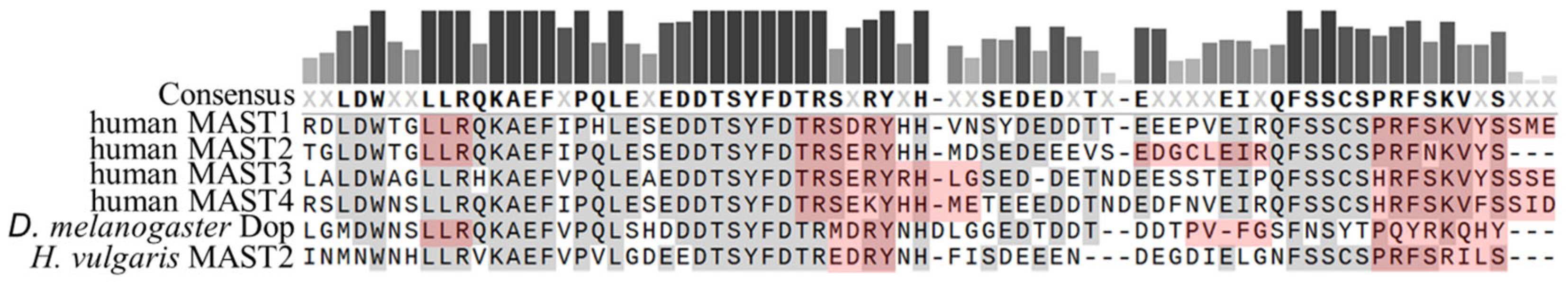 Ijms 24 11913 g005 Ijms 24 11913 g005