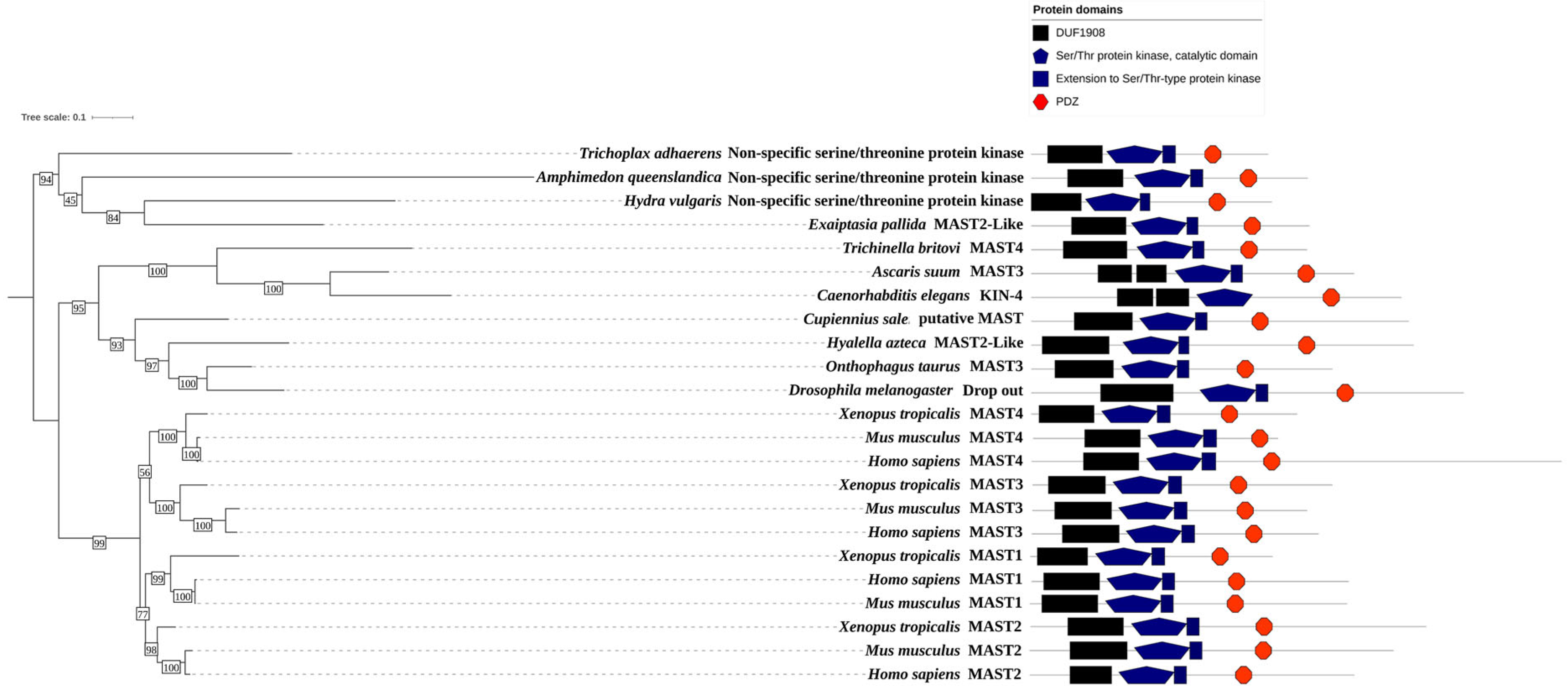 Ijms 24 11913 g006 Ijms 24 11913 g006