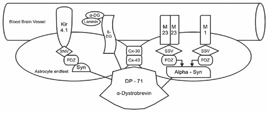 Aquaporin delivers innovation, quality, and differentiation