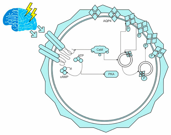 Aquaporin delivers innovation, quality, and differentiation