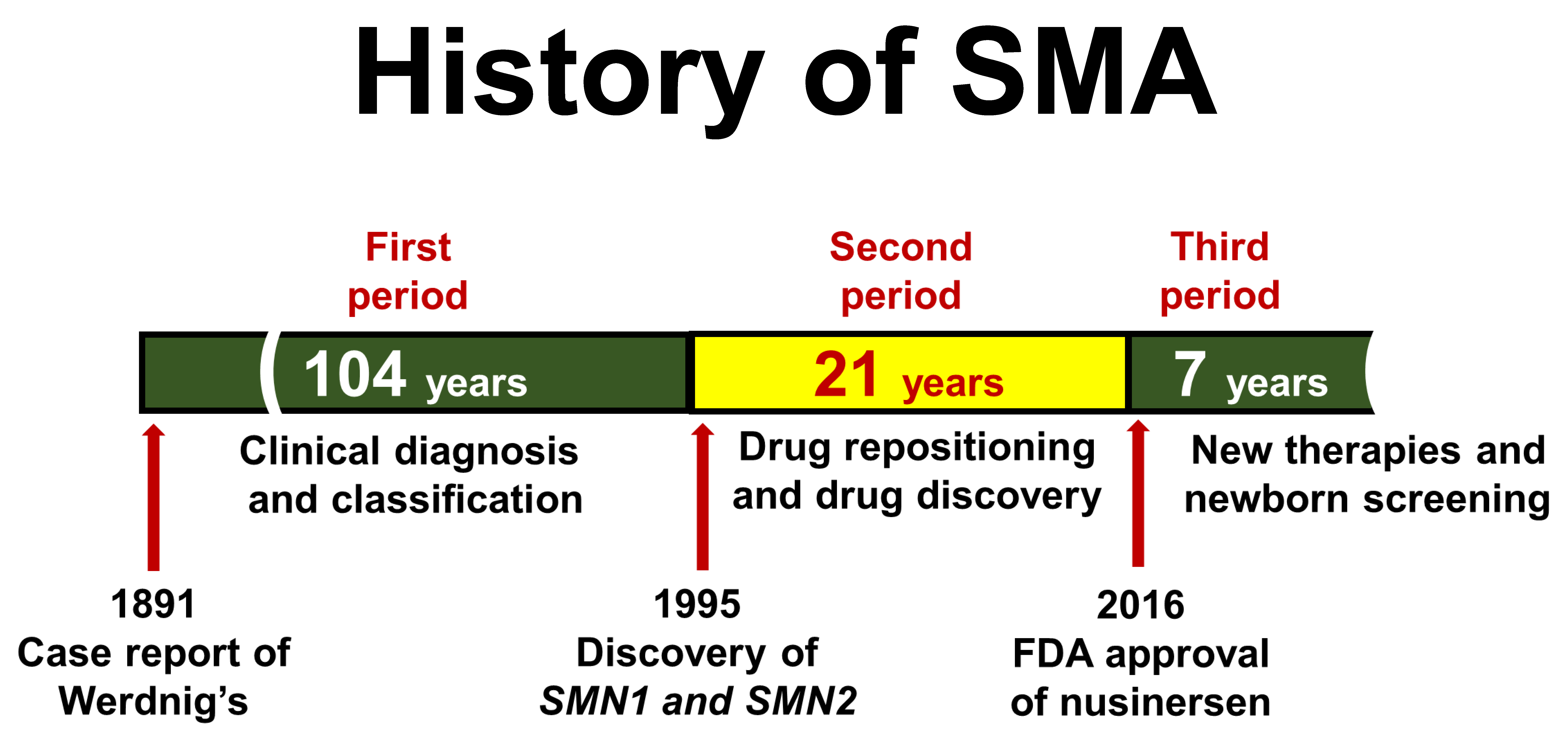 Ijms 24 11939 g001 Ijms 24 11939 g001