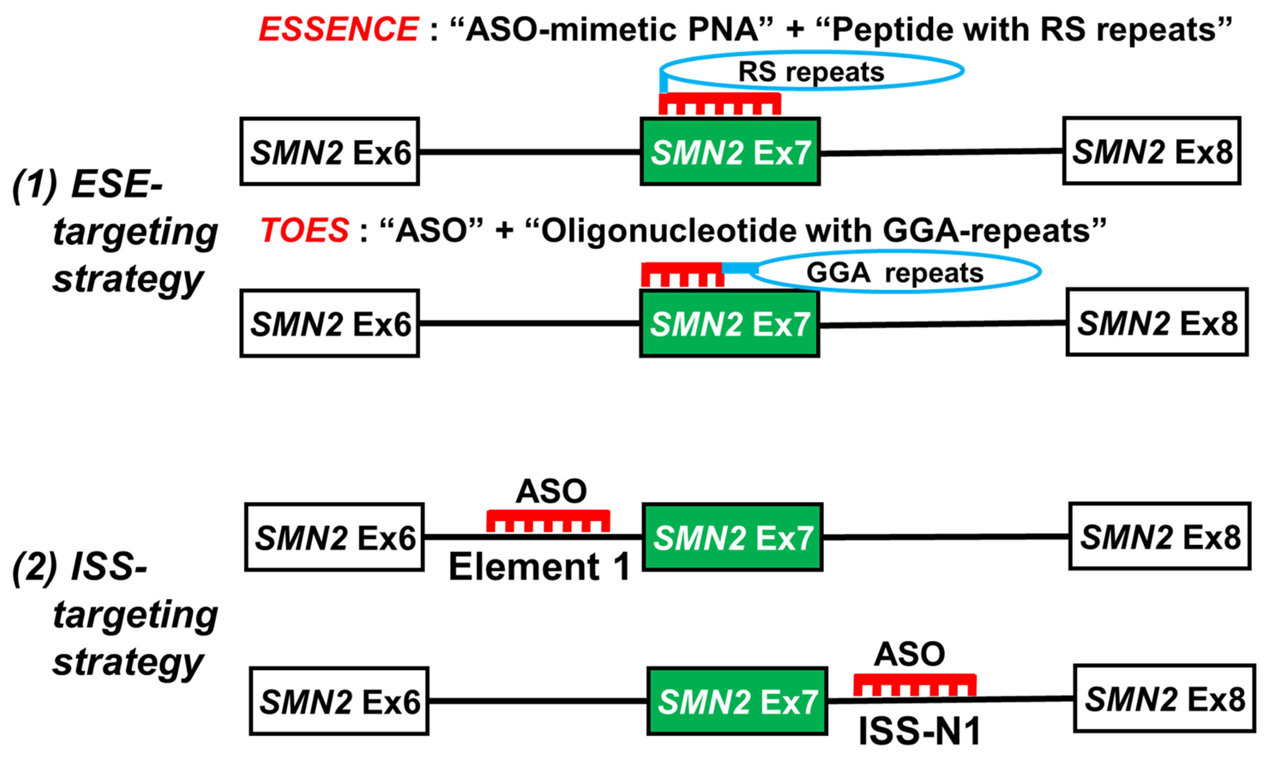 Ijms 24 11939 g005 Ijms 24 11939 g005