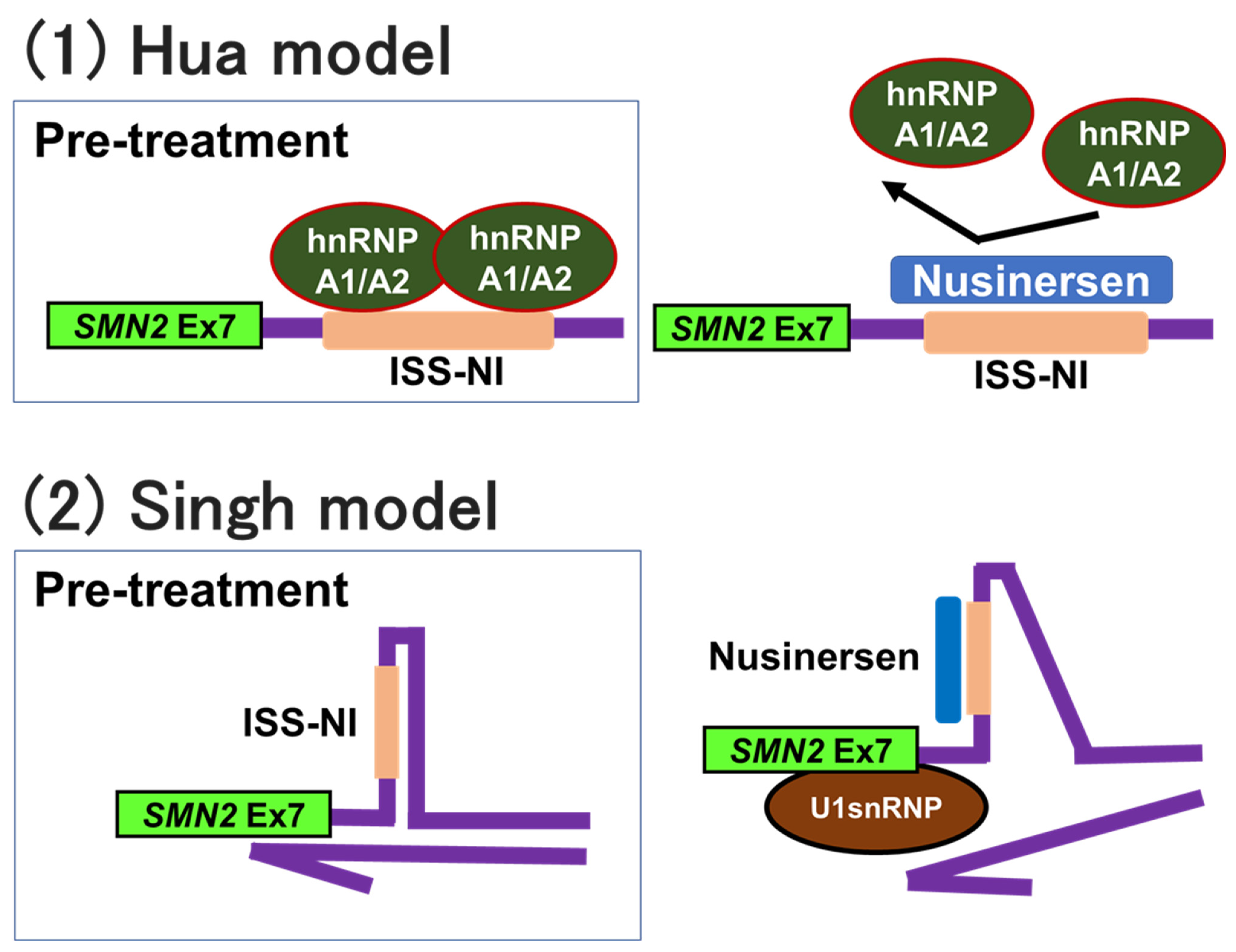 Ijms 24 11939 g006 Ijms 24 11939 g006