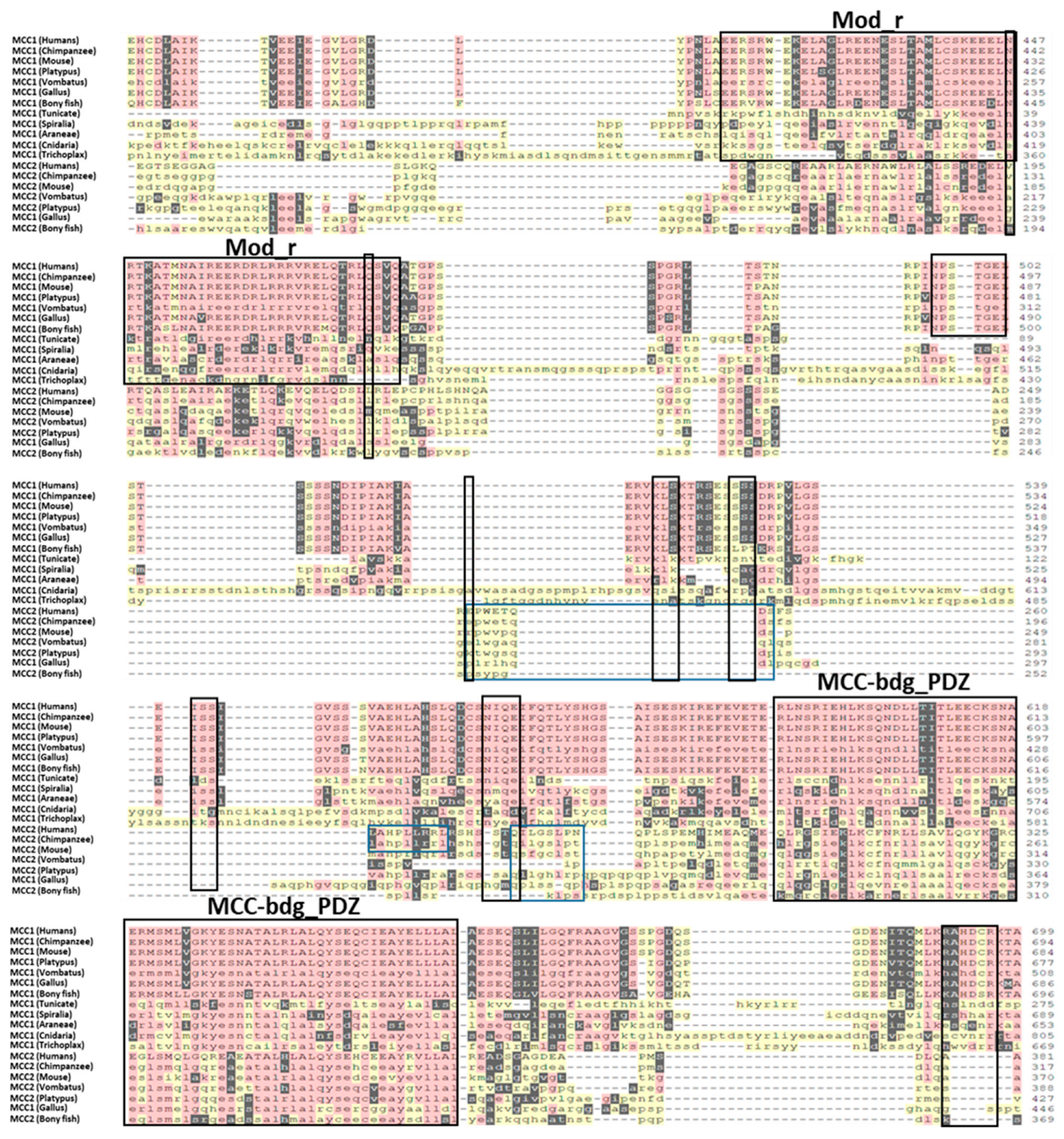 Ijms 24 11940 g001c Ijms 24 11940 g001c