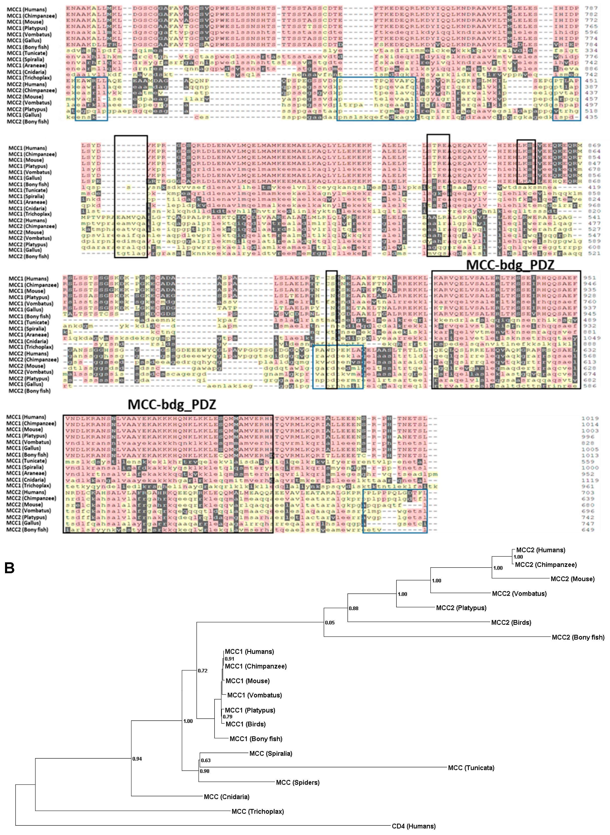 Ijms 24 11940 g001d Ijms 24 11940 g001d