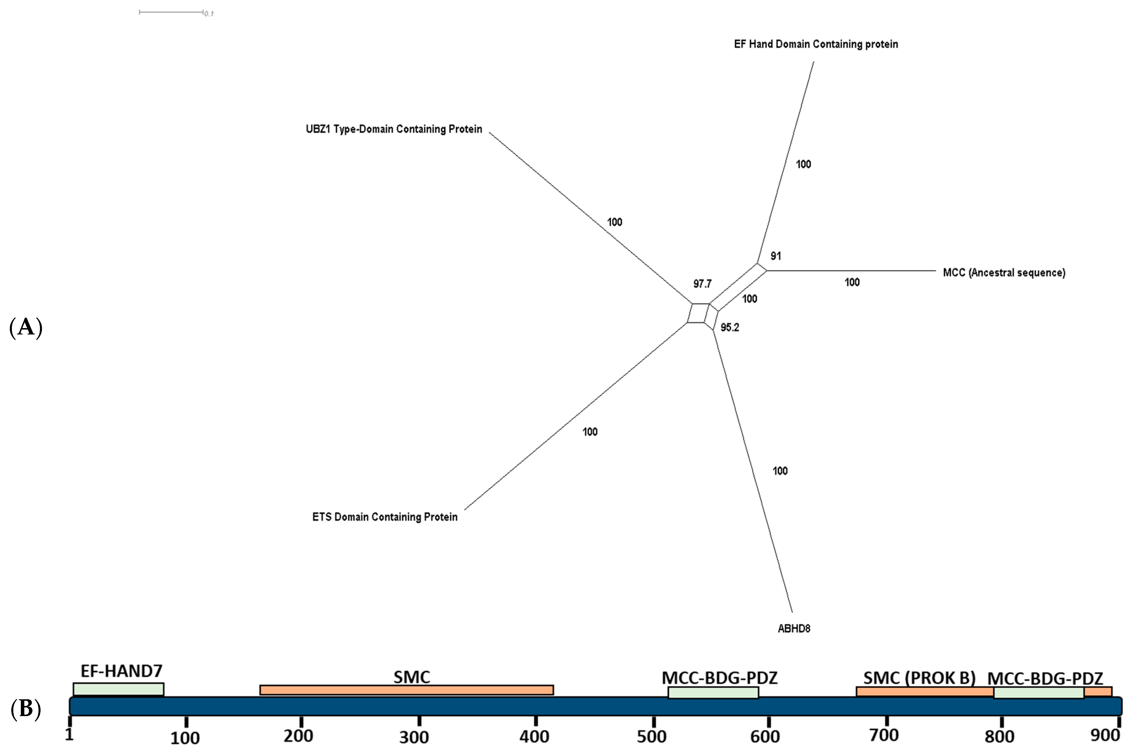 Ijms 24 11940 g002 Ijms 24 11940 g002