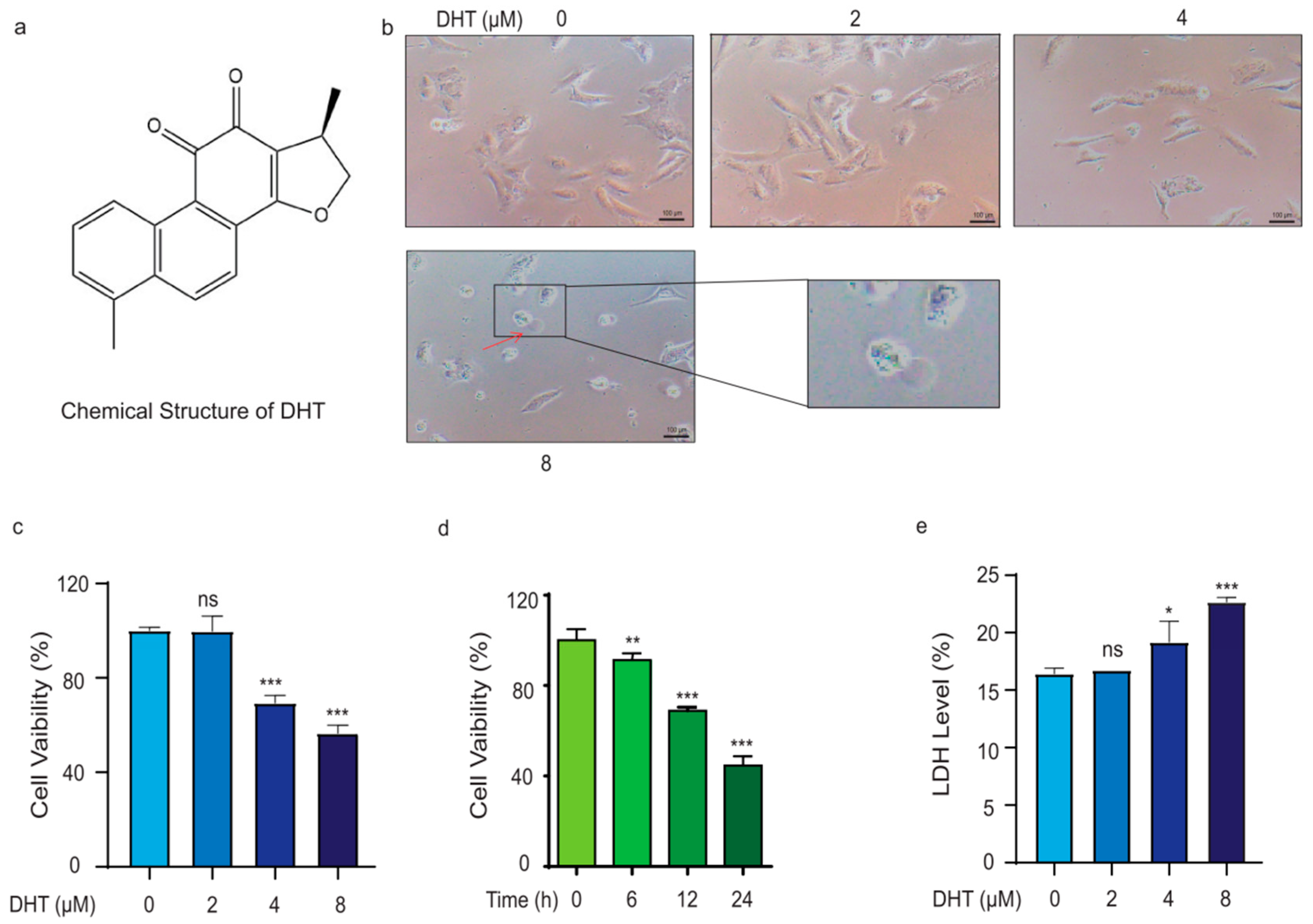 Ijms 24 11953 g001 Ijms 24 11953 g001