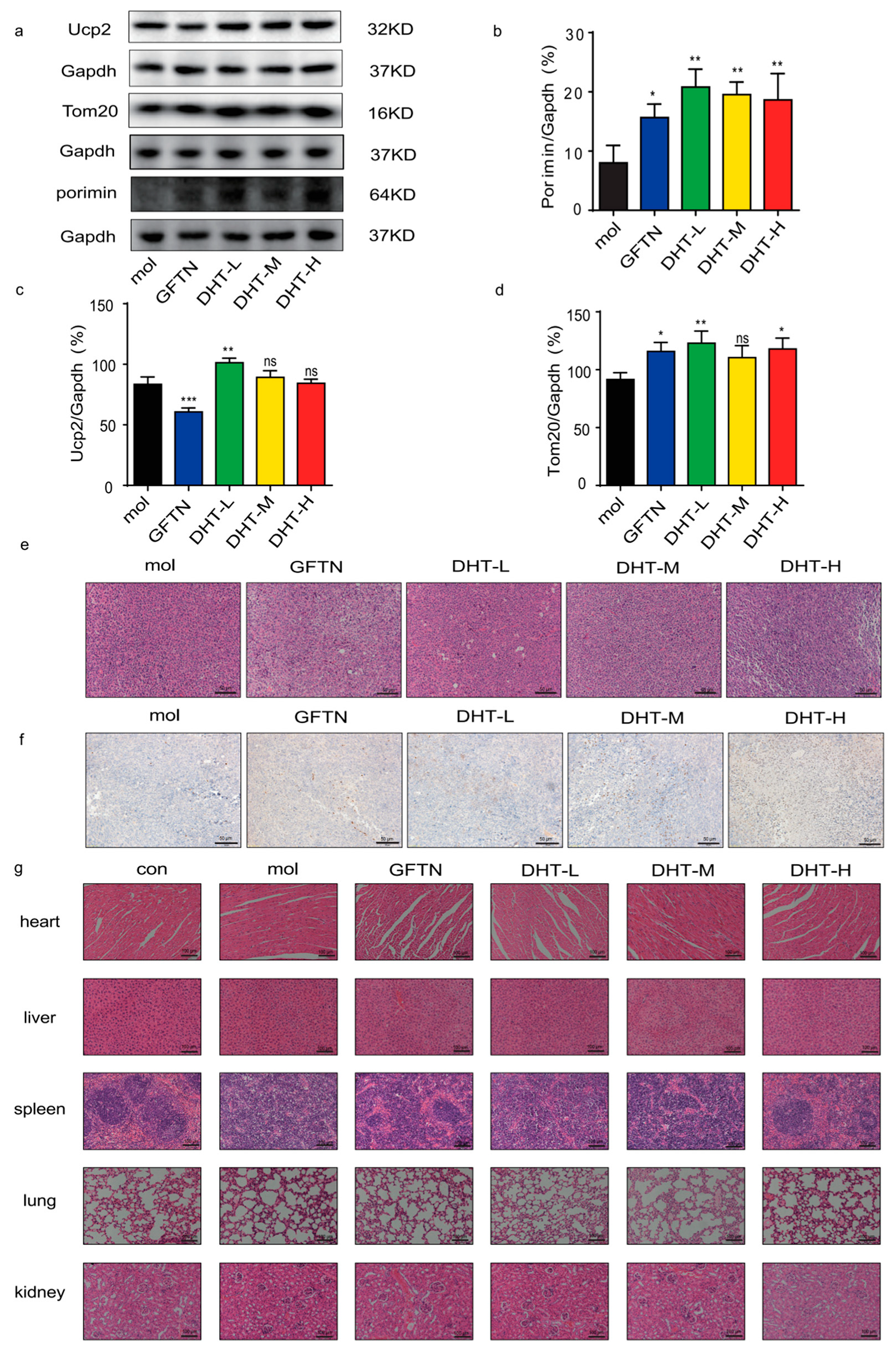 Ijms 24 11953 g006 Ijms 24 11953 g006