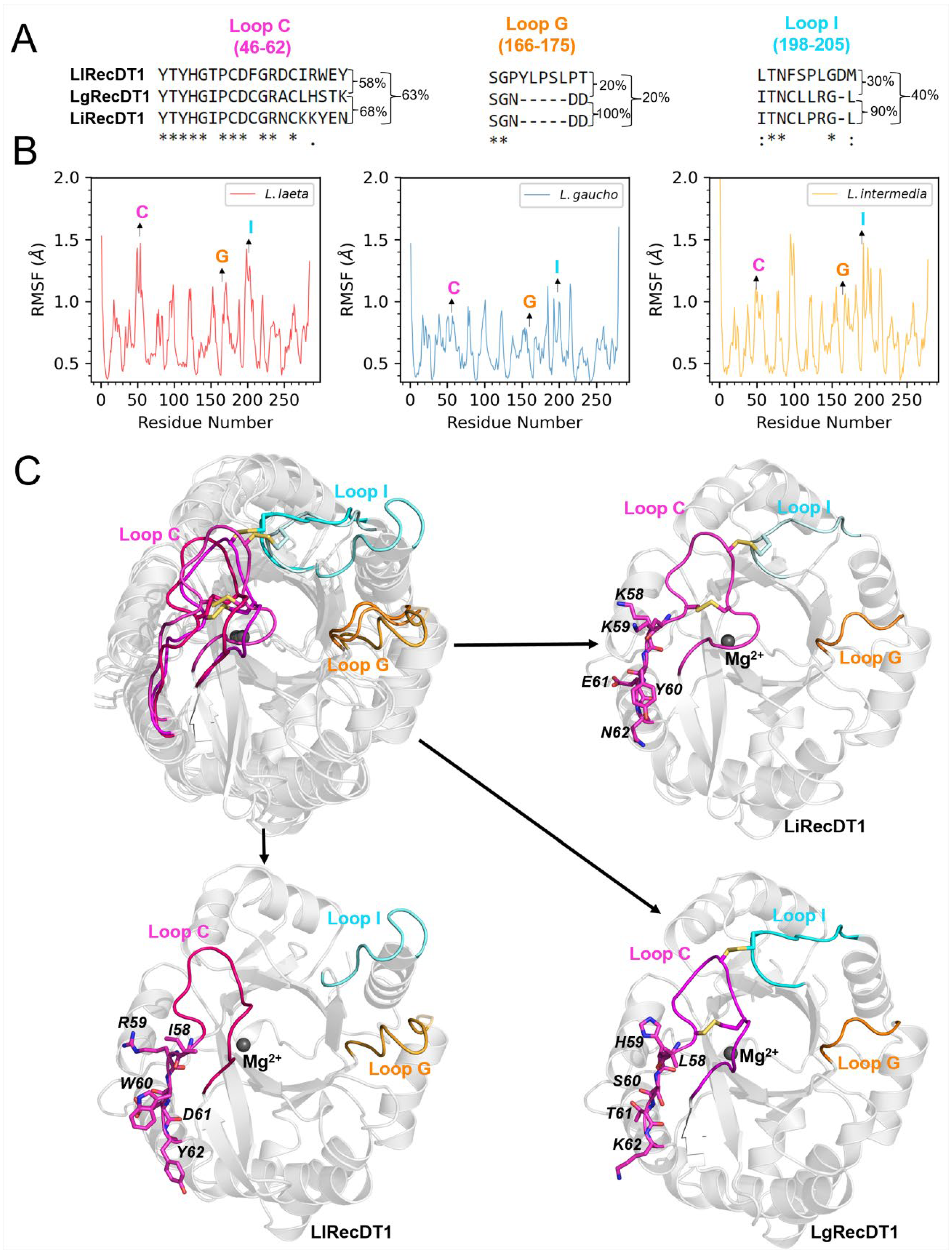 IJMS | Free Full-Text | Comparative Biochemical, Structural, and Functional  Analysis of Recombinant Phospholipases D from Three Loxosceles Spider Venoms