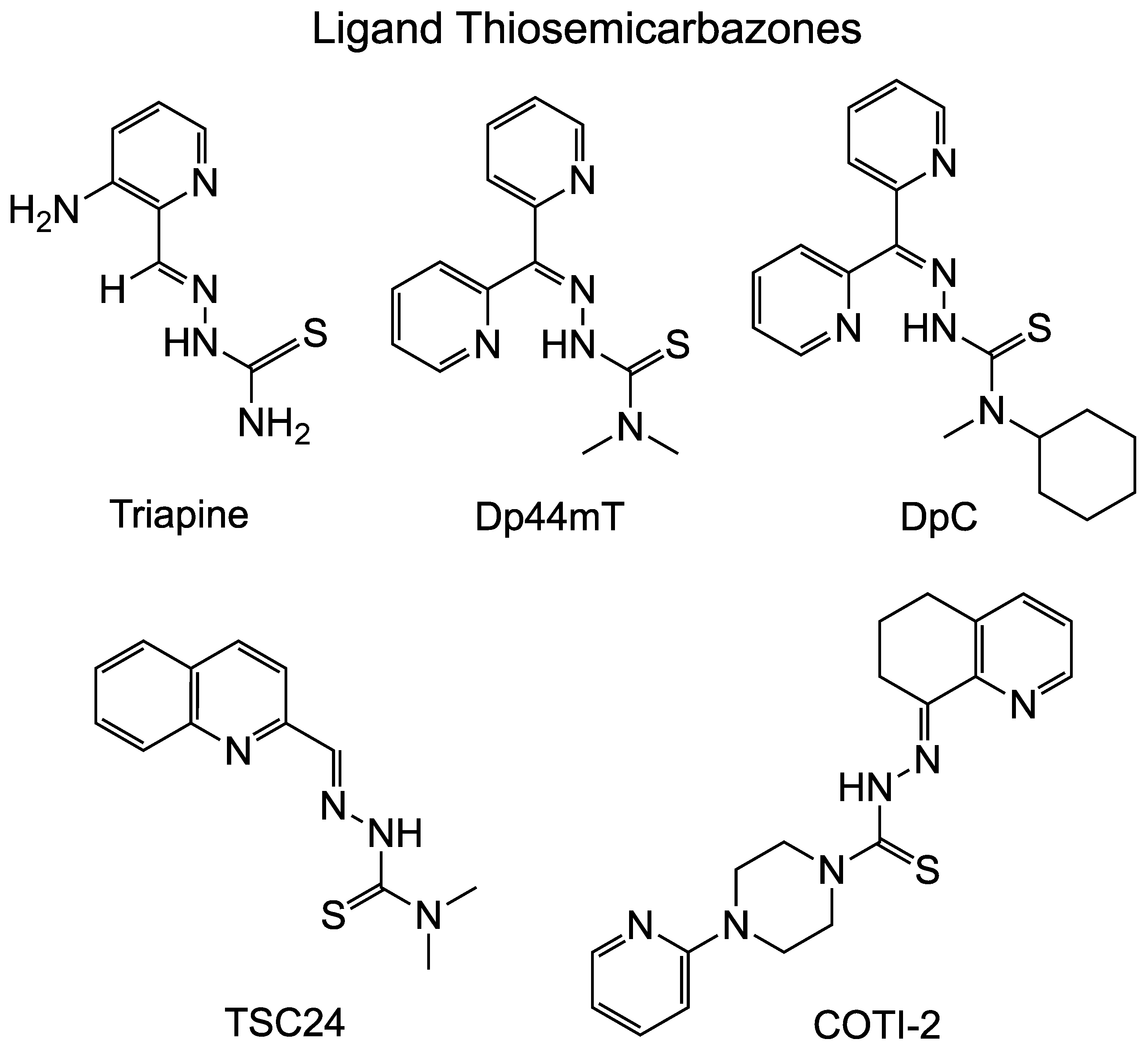 Ijms 24 12010 g001 Ijms 24 12010 g001