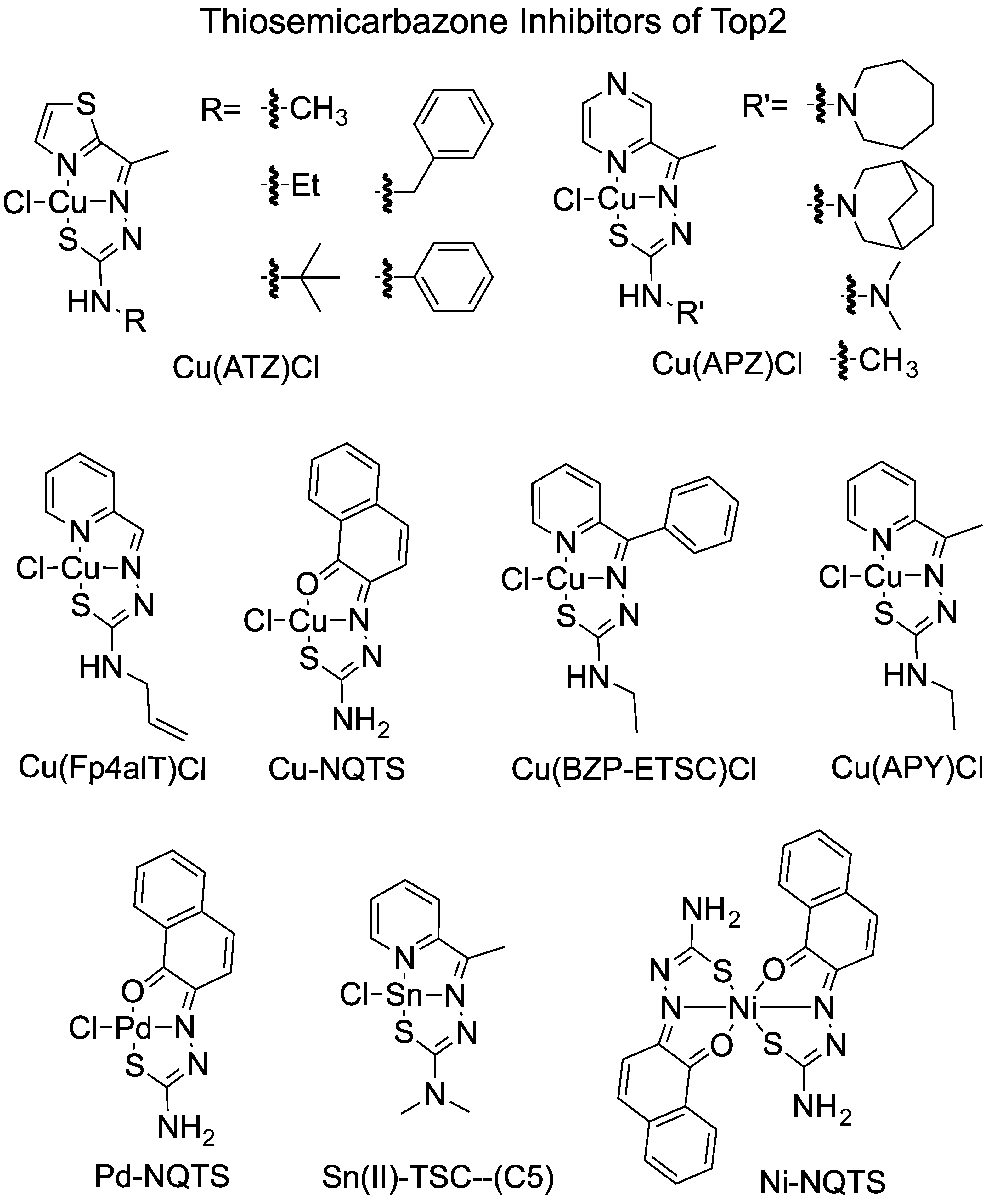 Ijms 24 12010 g003 Ijms 24 12010 g003