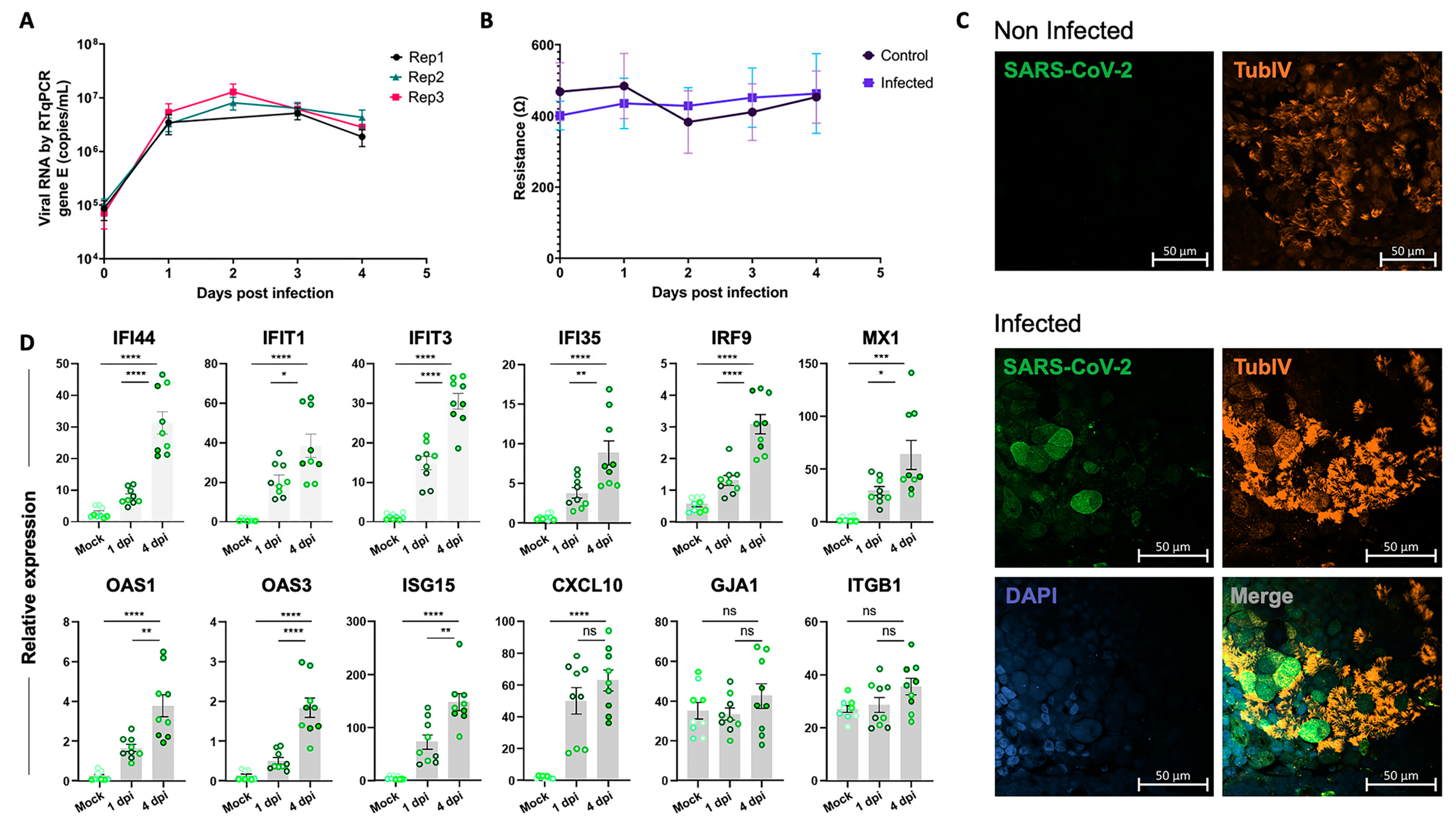 Ijms 24 12017 g004 Ijms 24 12017 g004