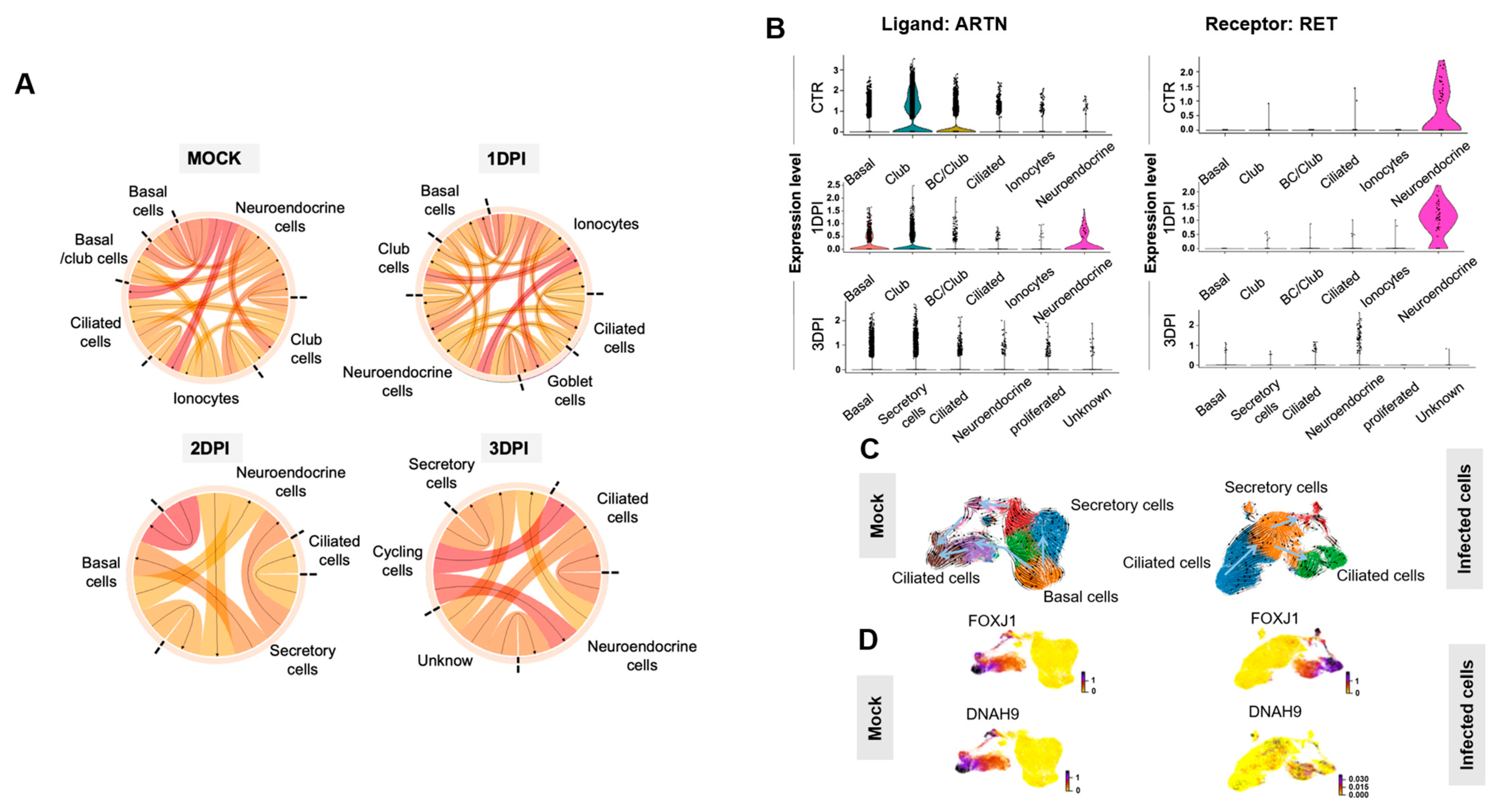 Ijms 24 12017 g005 Ijms 24 12017 g005