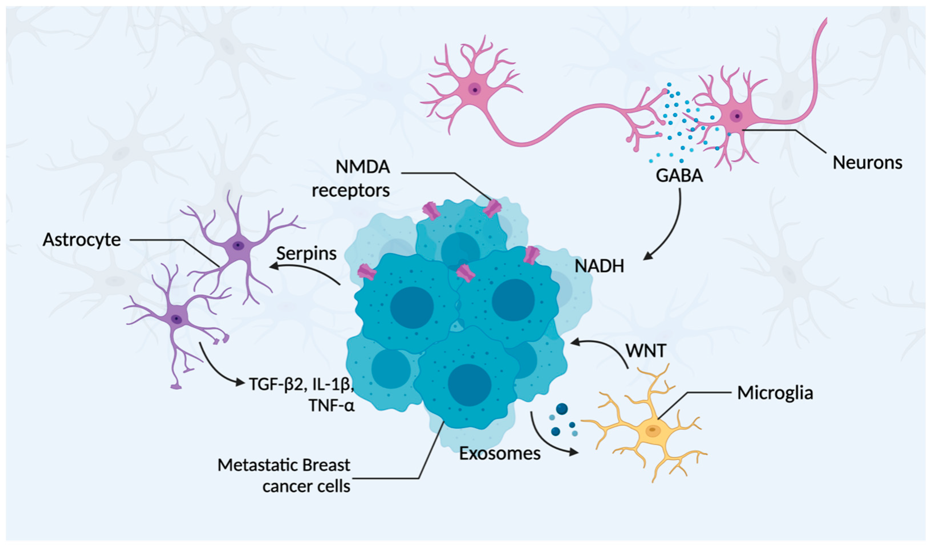 Ijms 24 12034 g003 Ijms 24 12034 g003