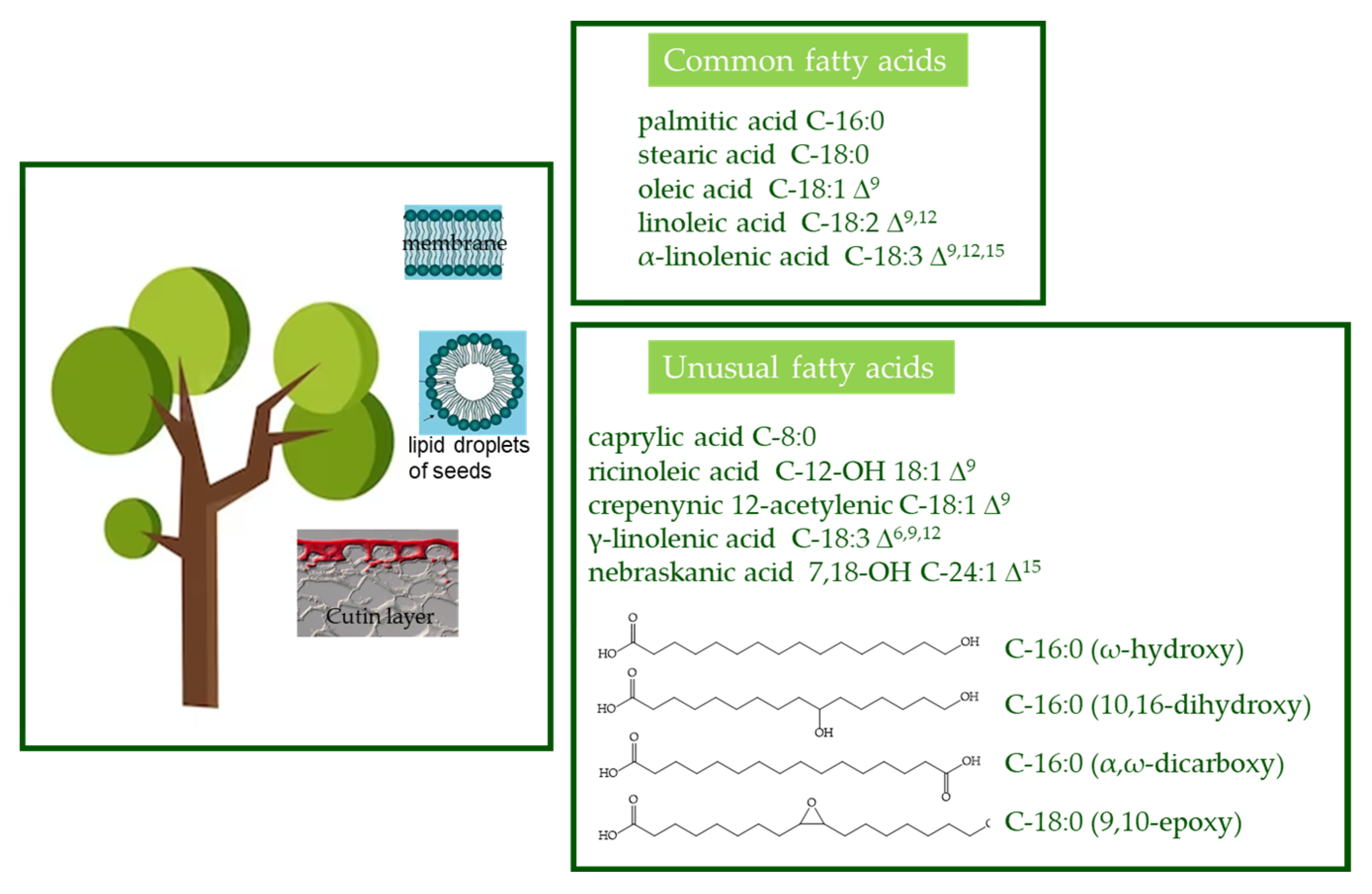 Ijms 24 12038 g002 Ijms 24 12038 g002