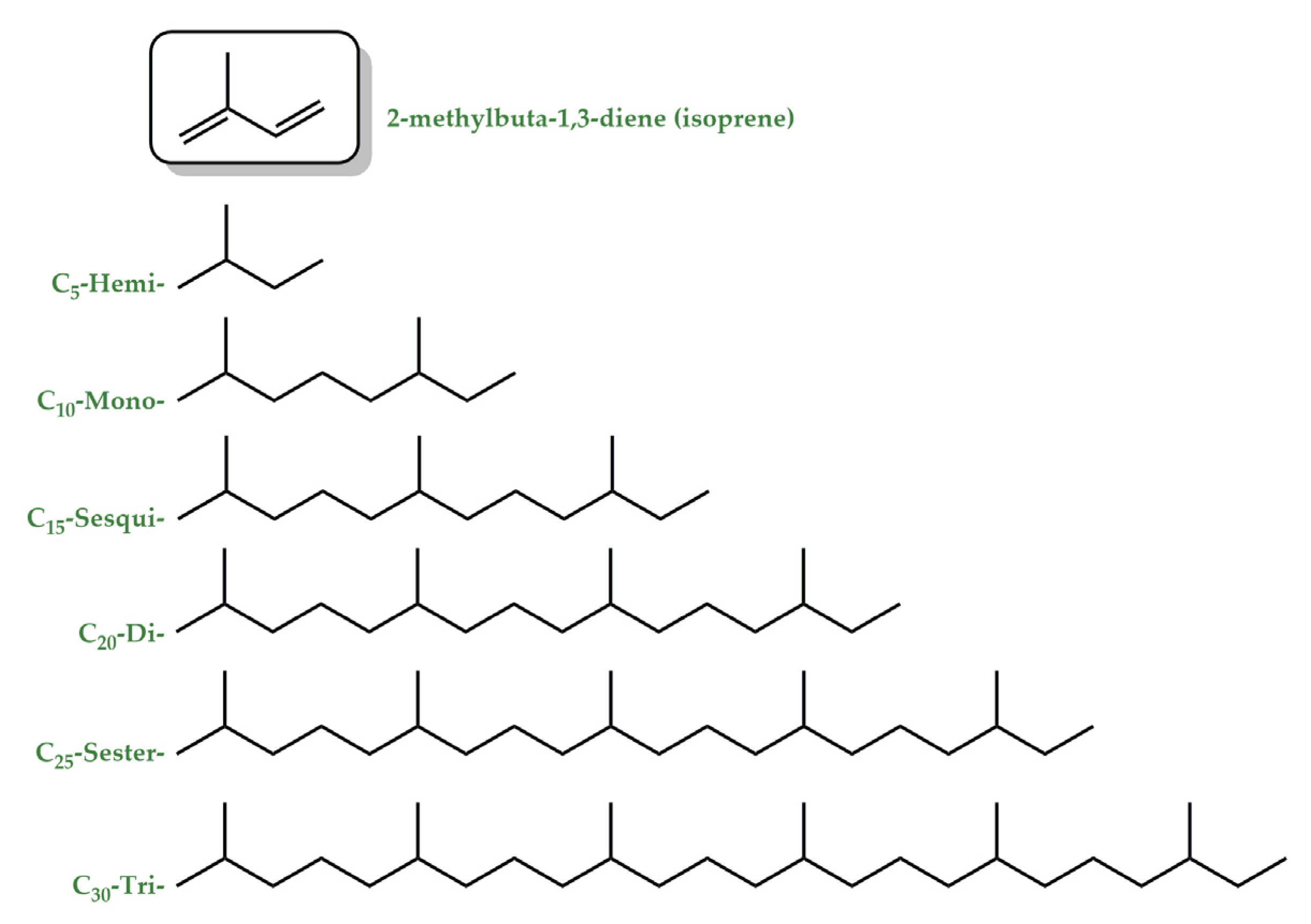 Ijms 24 12038 g003 Ijms 24 12038 g003