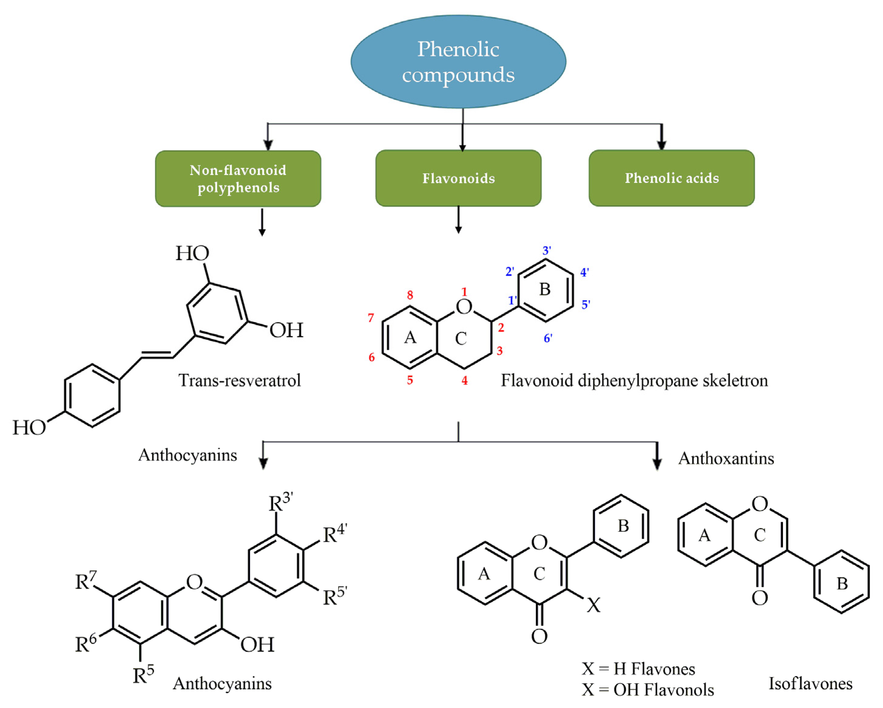 Ijms 24 12038 g004 Ijms 24 12038 g004