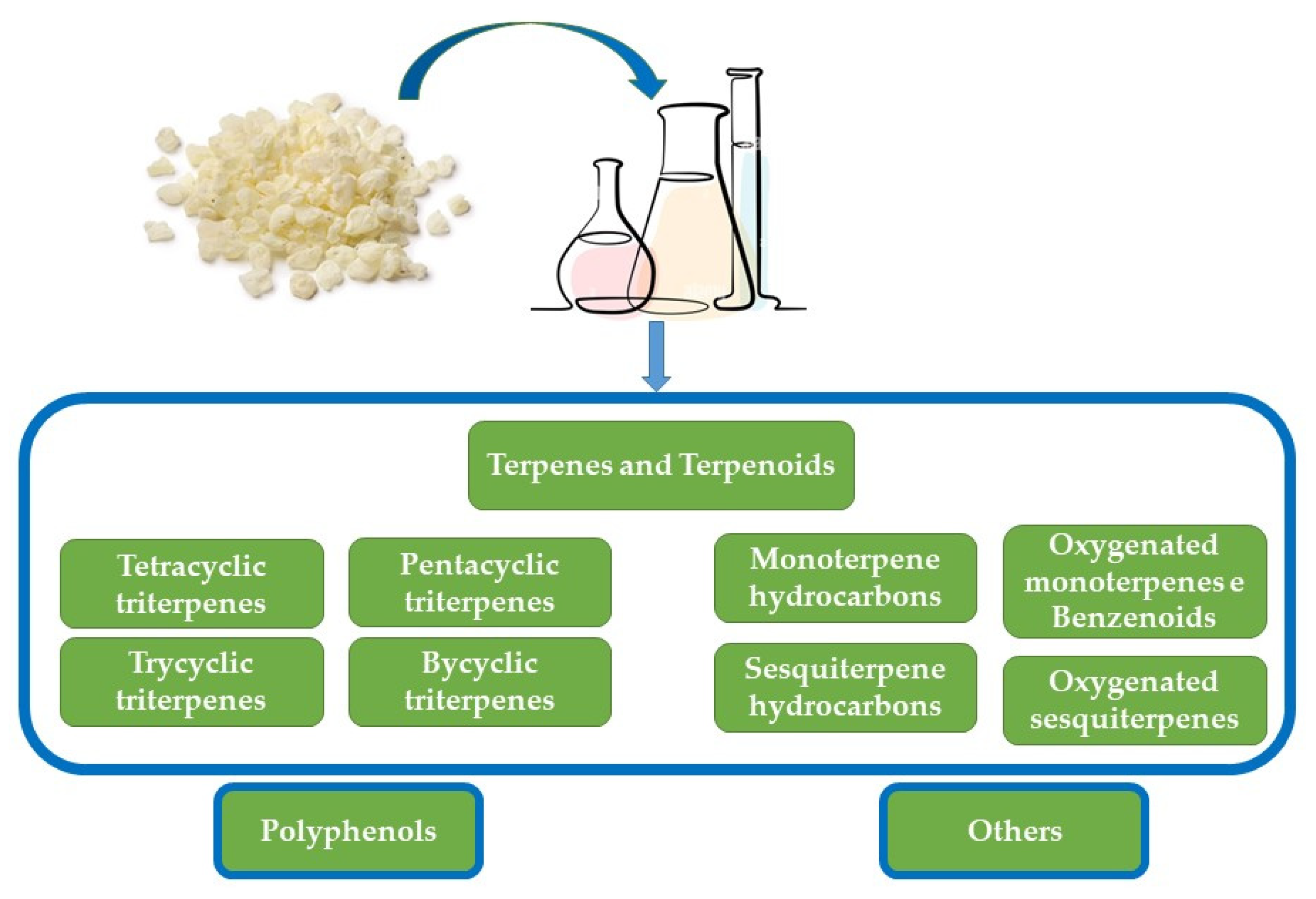Ijms 24 12038 g005 Ijms 24 12038 g005