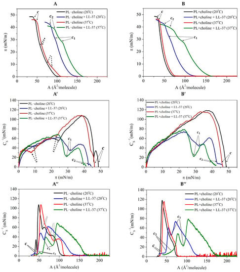 IJMS | Free Full-Text | Insight into the Mechanism of Interactions