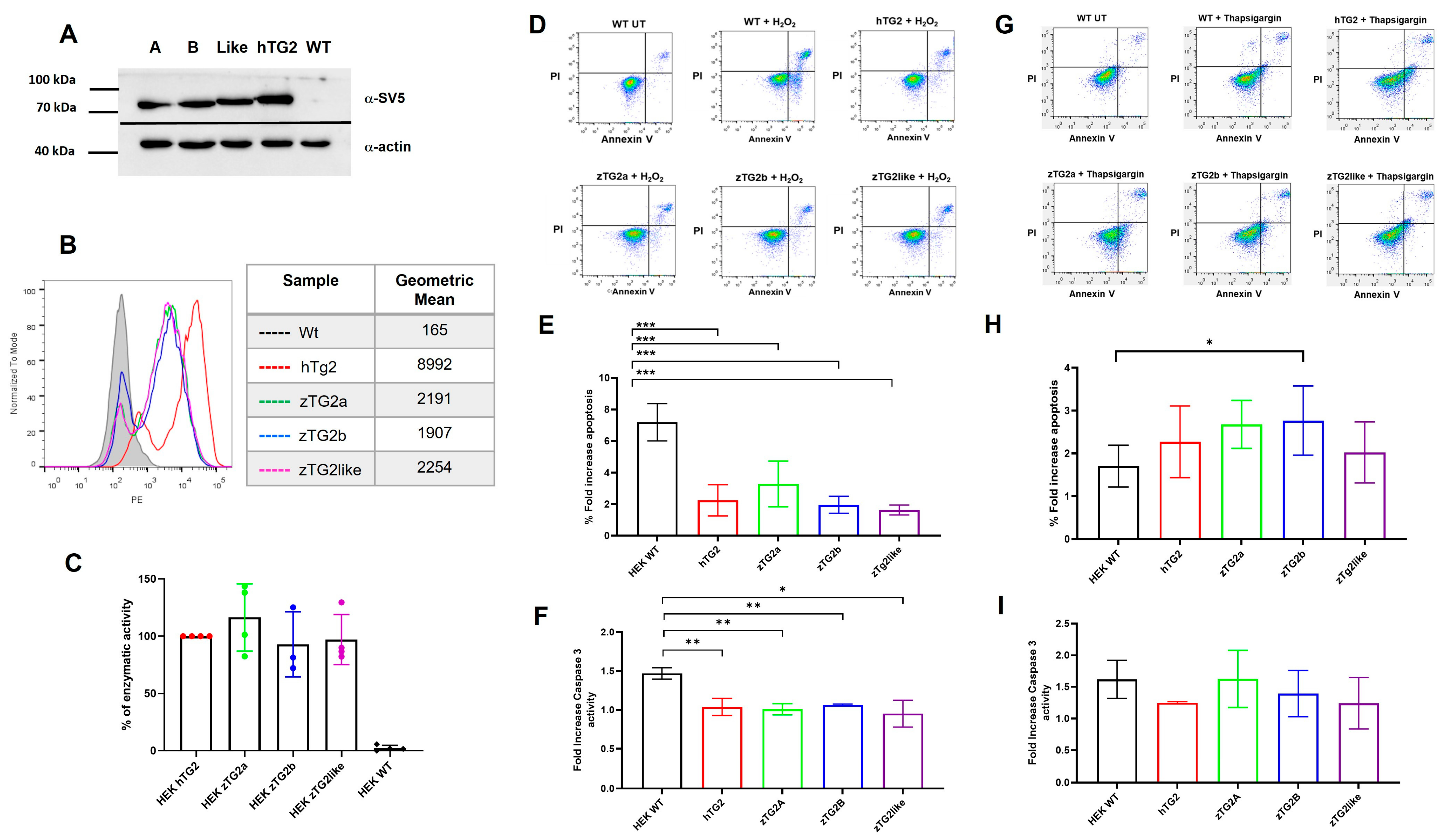 Ijms 24 12041 g006 Ijms 24 12041 g006