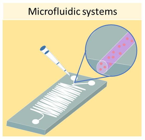 IJMS | Free Full-Text | Three-Dimensional Cell Cultures: The Bridge ...