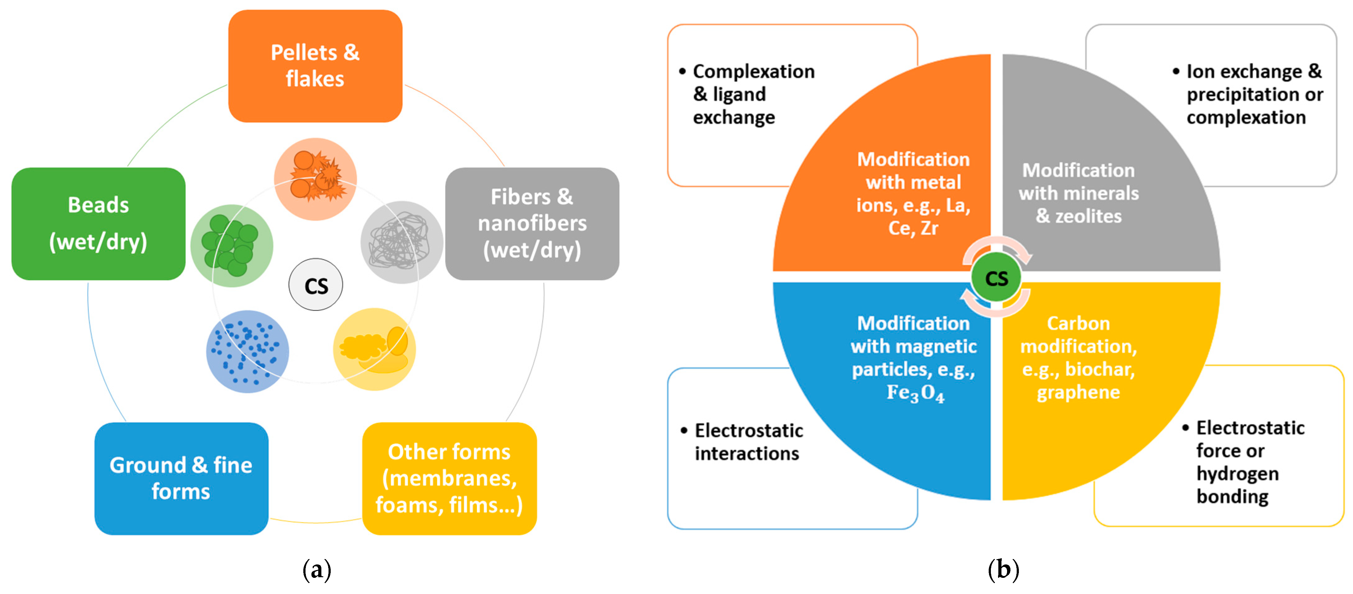 Ijms 24 12060 g008 Ijms 24 12060 g008