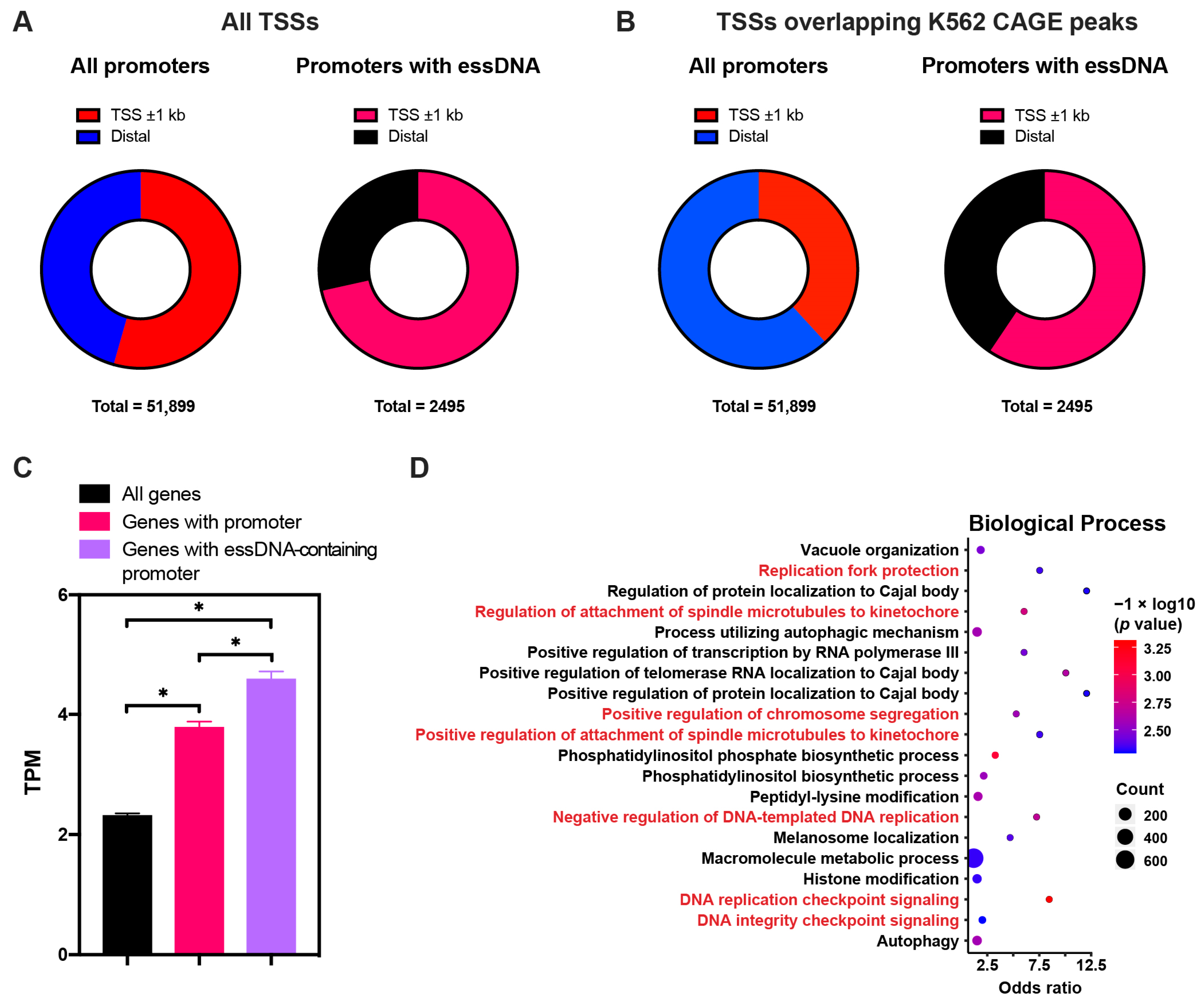 Ijms 24 12062 g005 Ijms 24 12062 g005