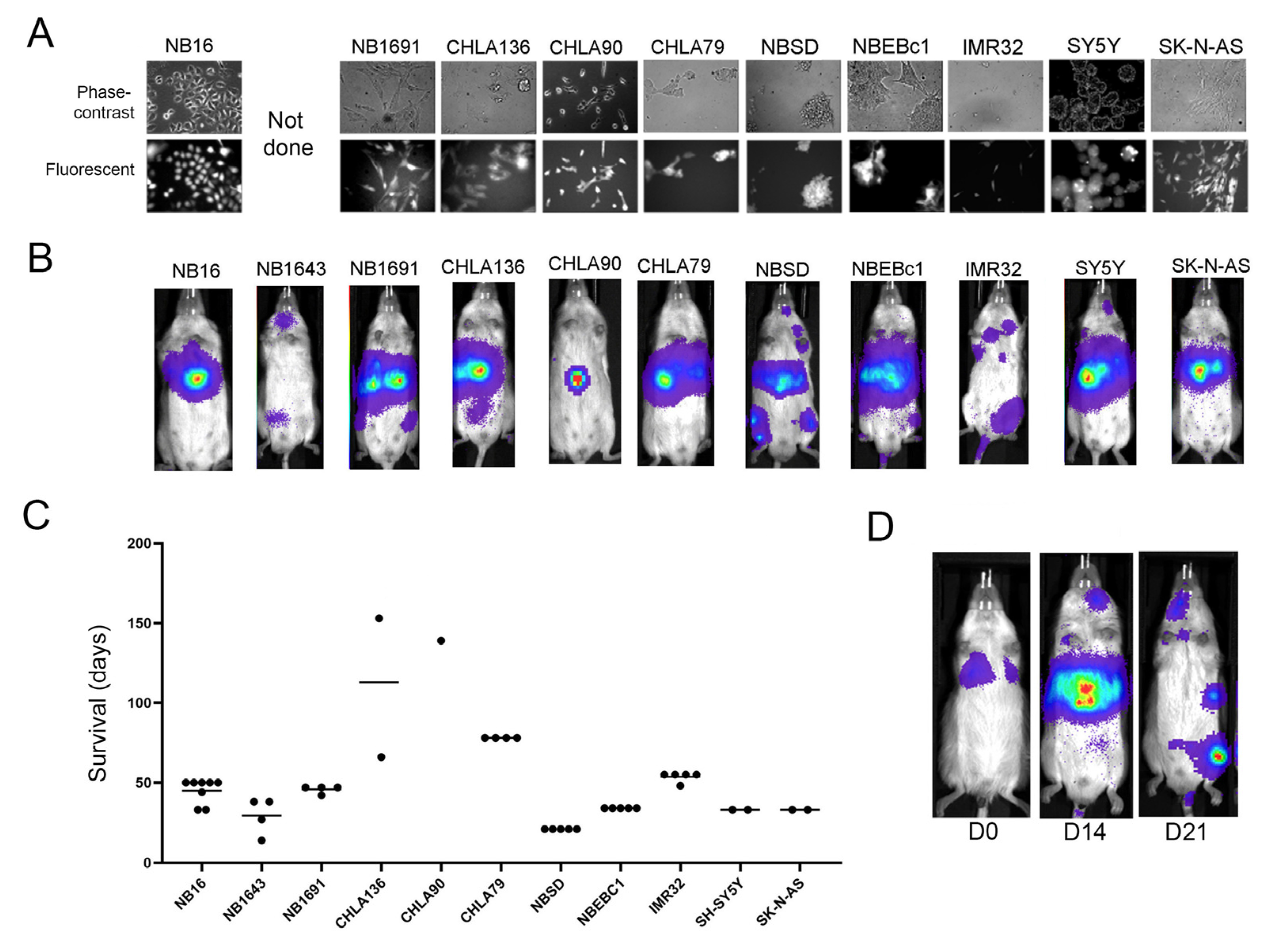 Ijms 24 12071 g005 Ijms 24 12071 g005