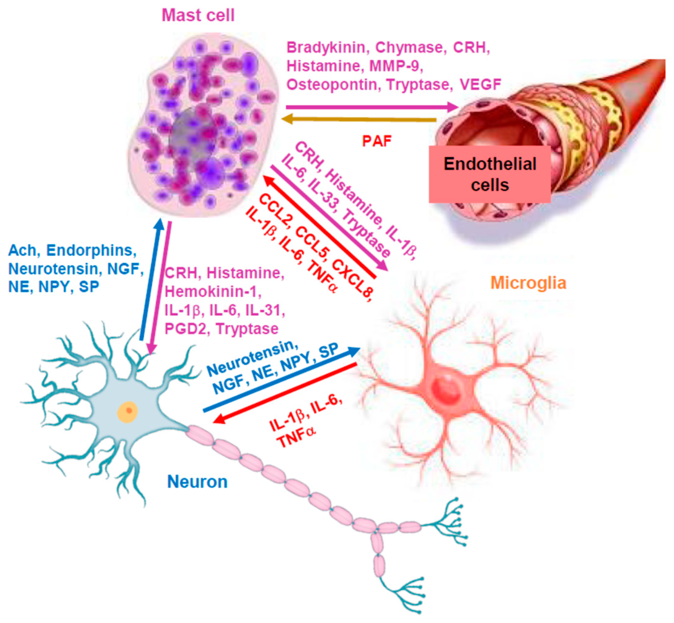 Ijms 24 12081 g003 Ijms 24 12081 g003