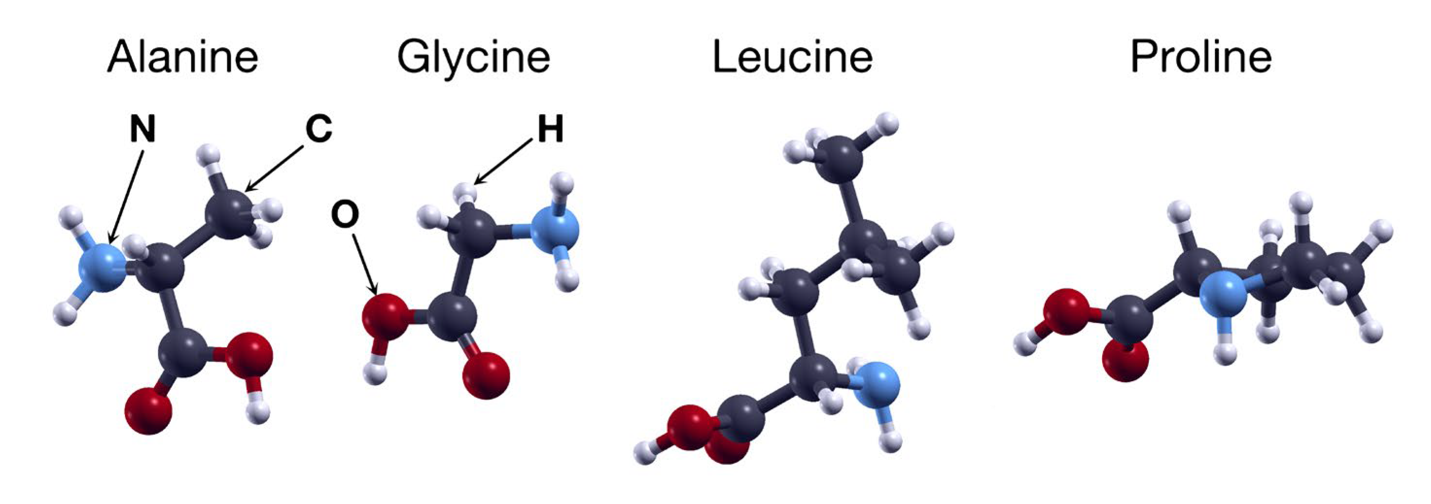 Ijms 24 12084 g001 Ijms 24 12084 g001