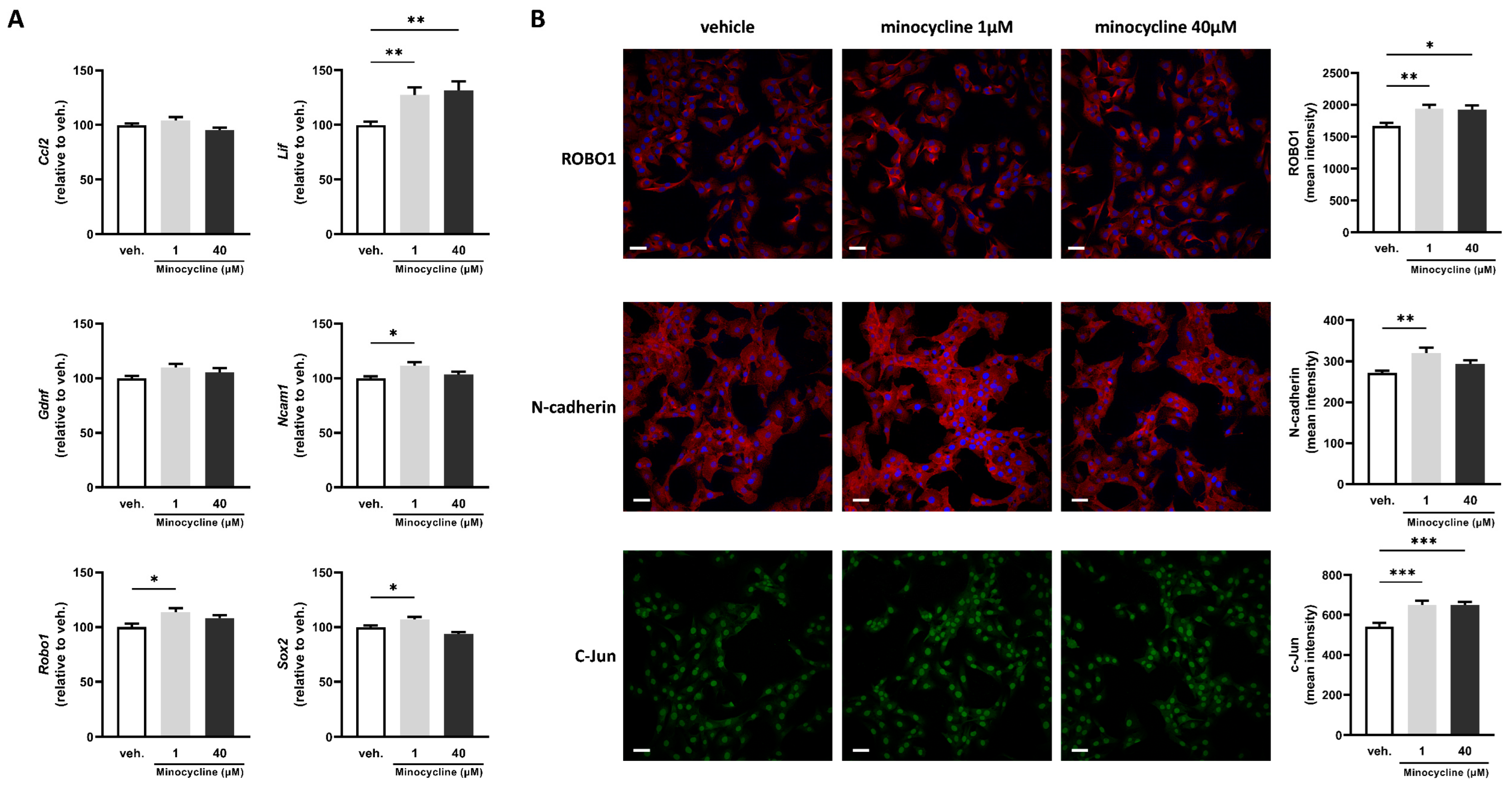 Ijms 24 12085 g001 Ijms 24 12085 g001