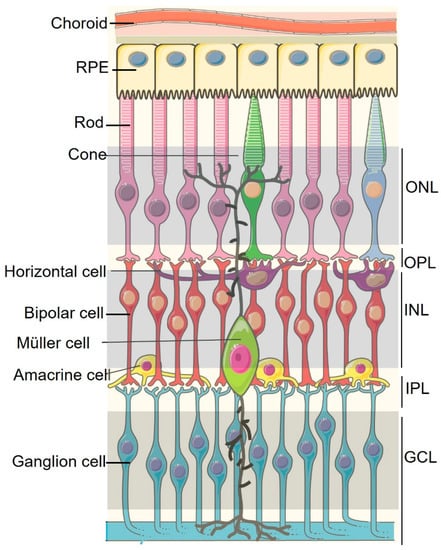 Ocular Immunology and Inflammation: Vol 31, No 6