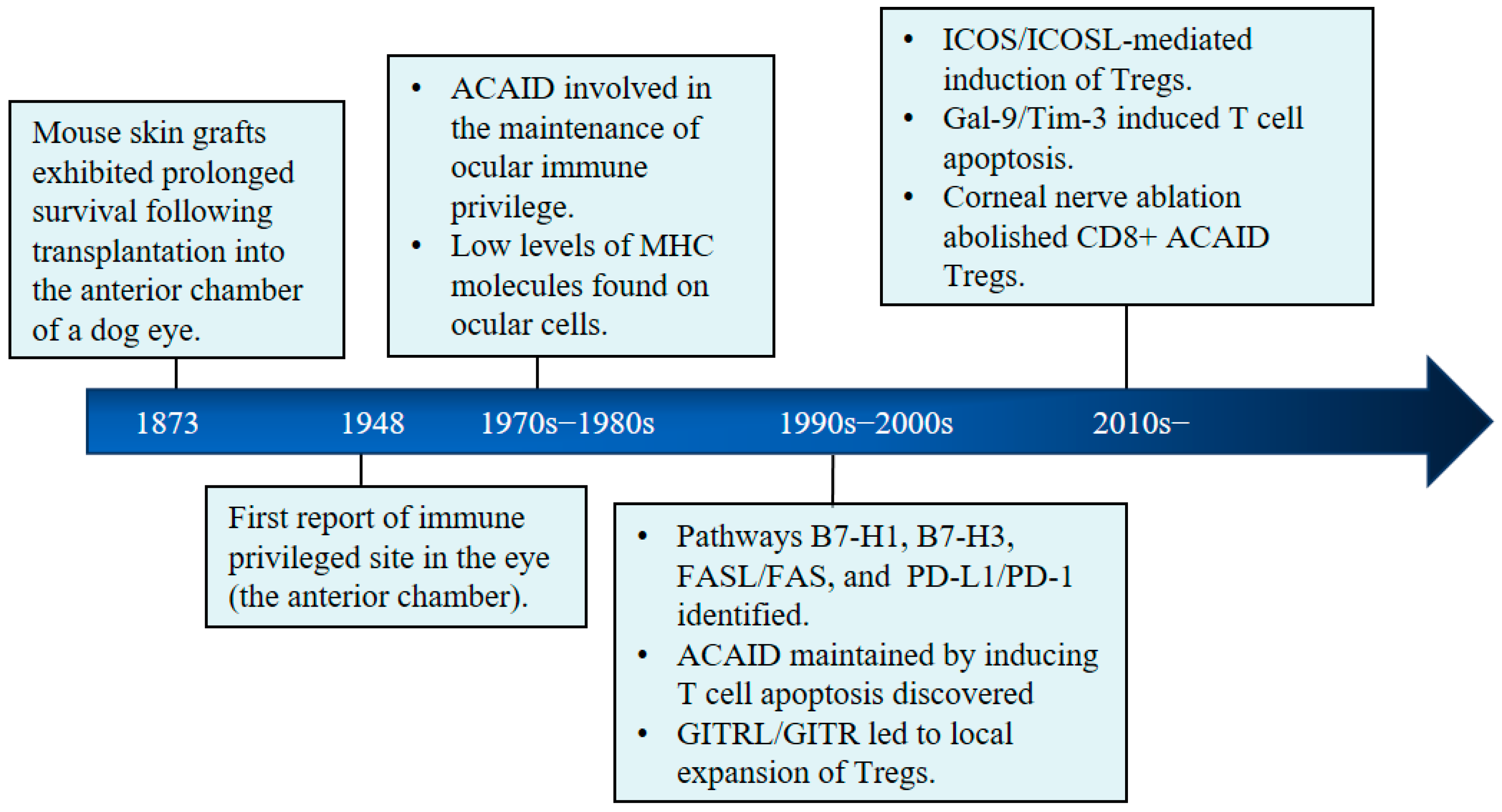 Ijms 24 12090 g002 Ijms 24 12090 g002