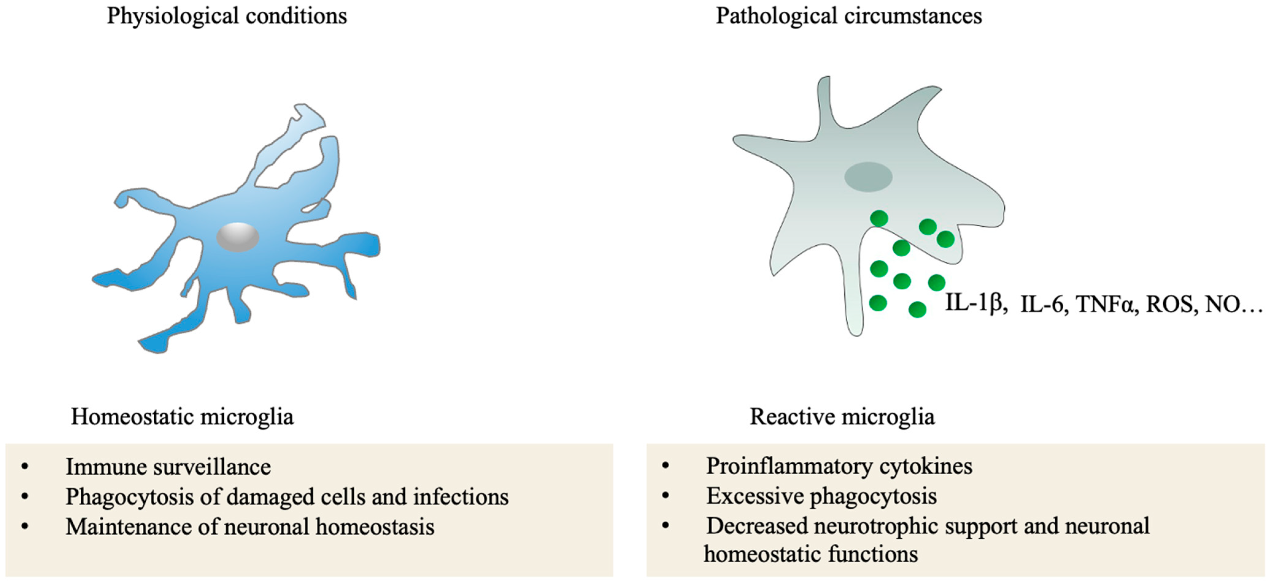 Ijms 24 12090 g005 Ijms 24 12090 g005