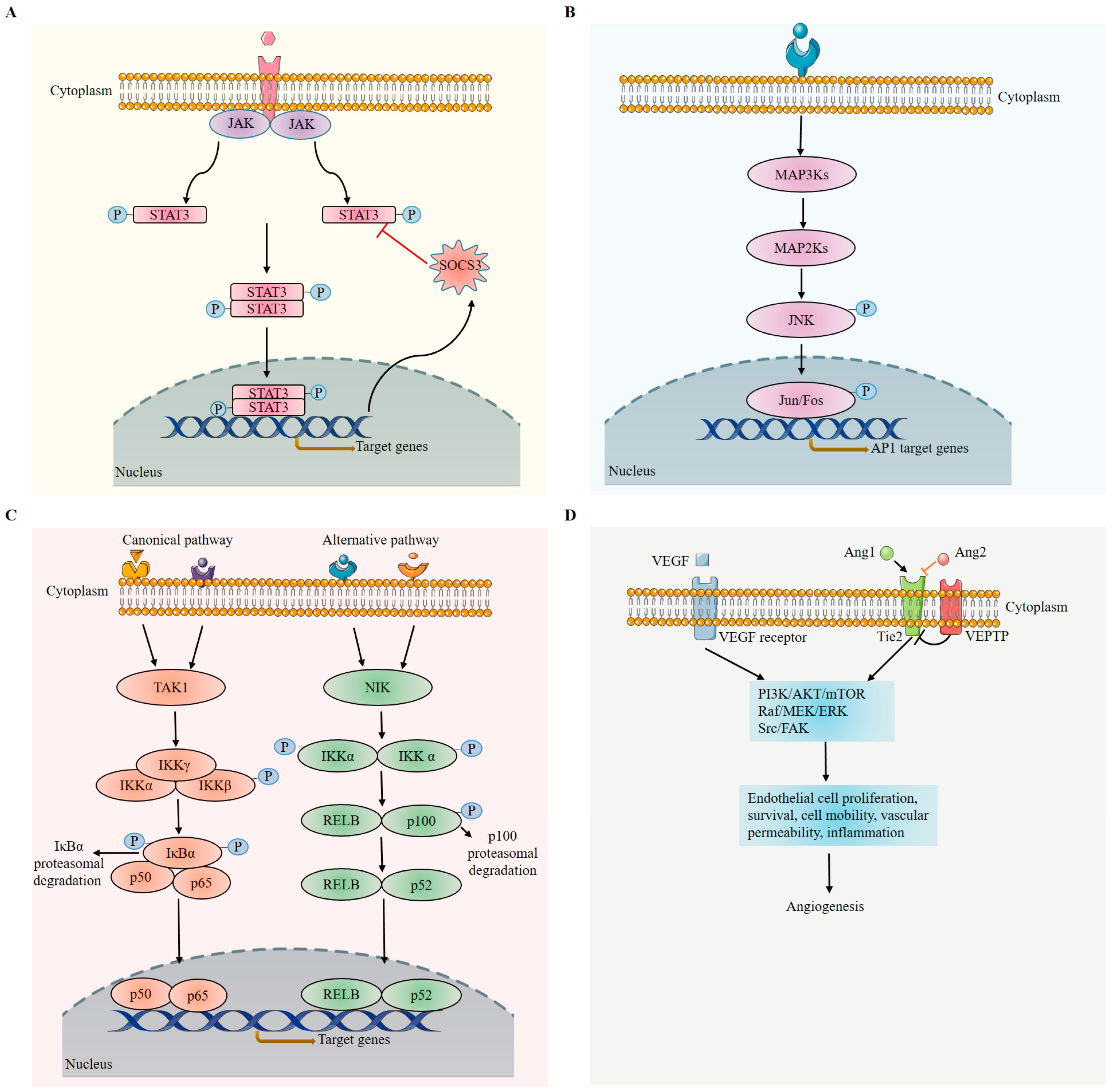 Ijms 24 12090 g006 Ijms 24 12090 g006