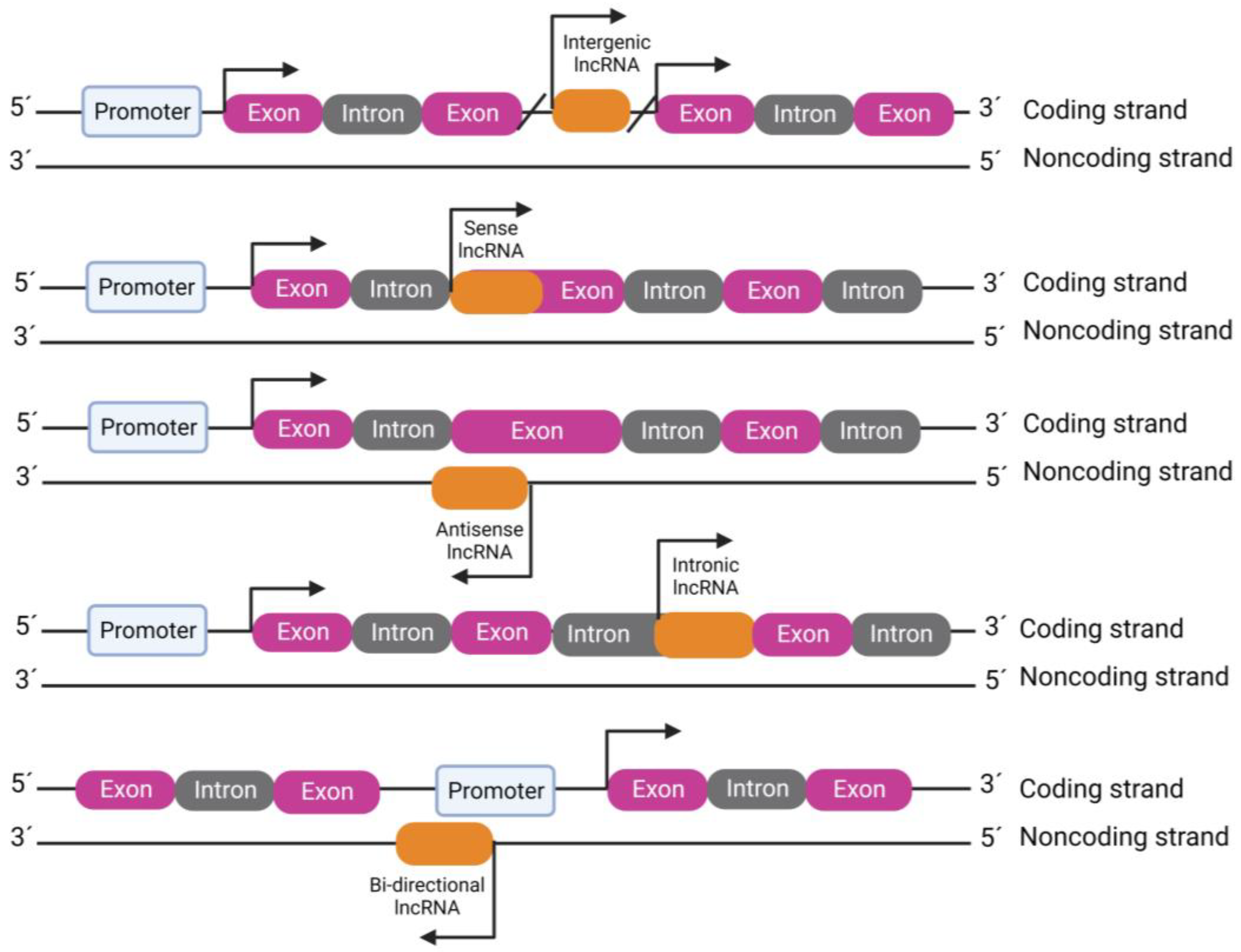 Ijms 24 12103 g002 Ijms 24 12103 g002