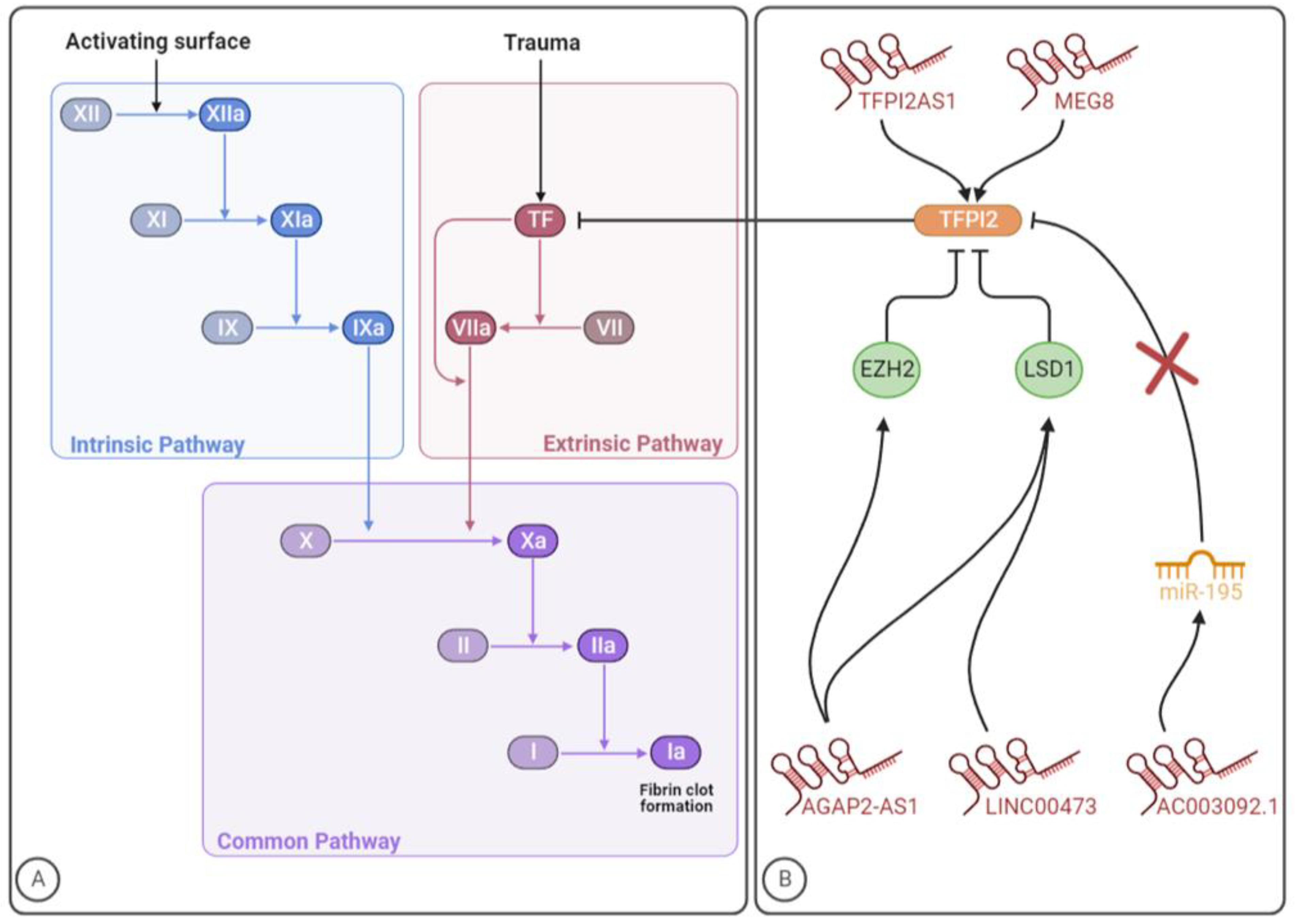Ijms 24 12103 g005 Ijms 24 12103 g005