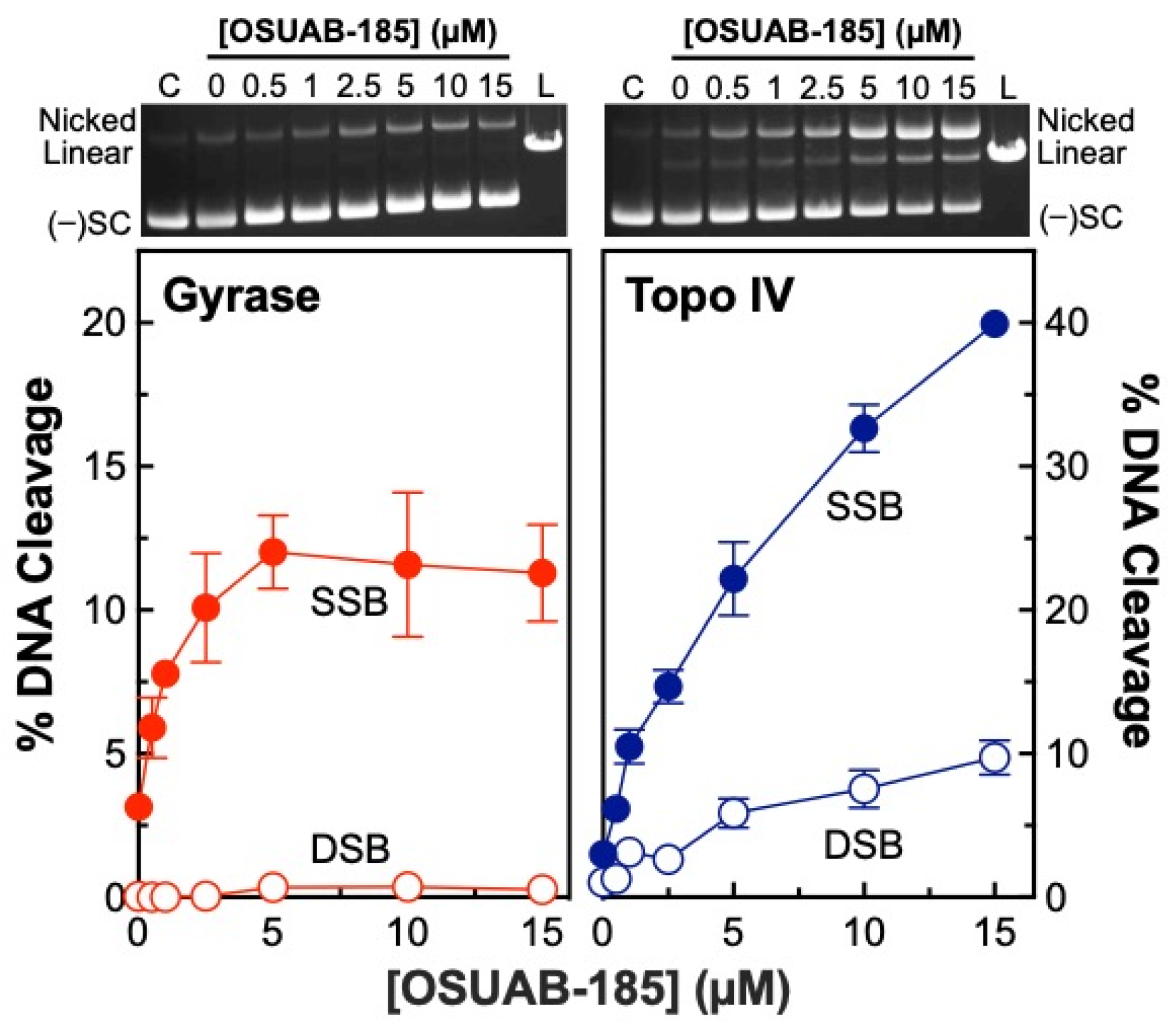 Ijms 24 12107 g002 Ijms 24 12107 g002