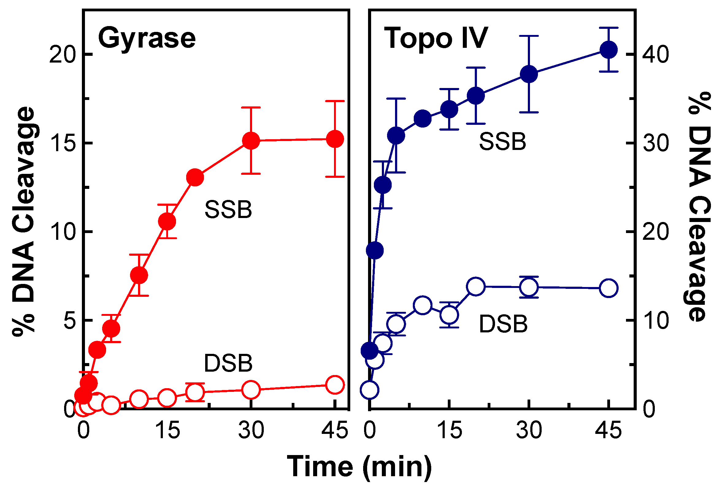 Ijms 24 12107 g004 Ijms 24 12107 g004