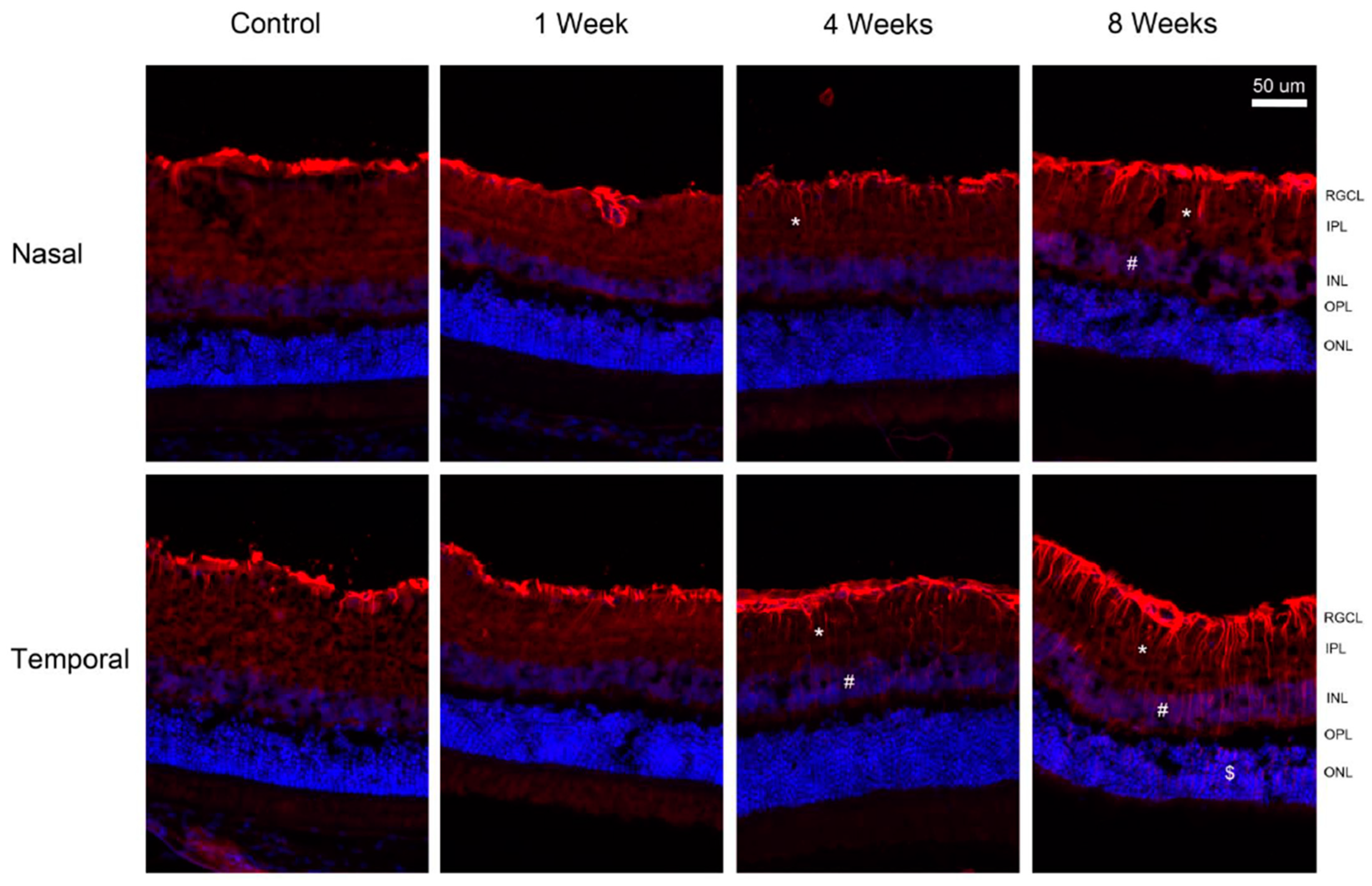 Ijms 24 12109 g007 Ijms 24 12109 g007