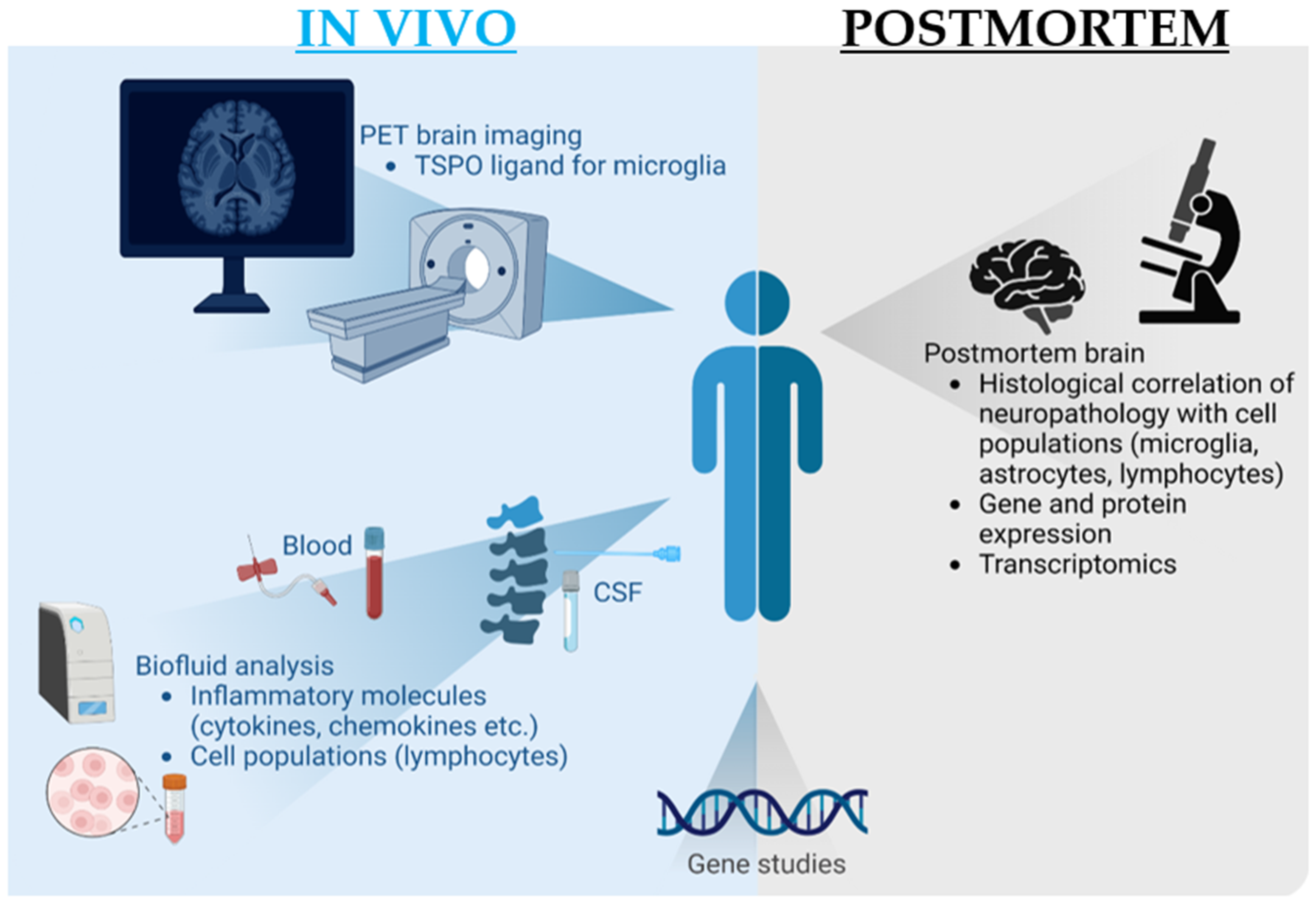 Ijms 24 12116 g002 Ijms 24 12116 g002