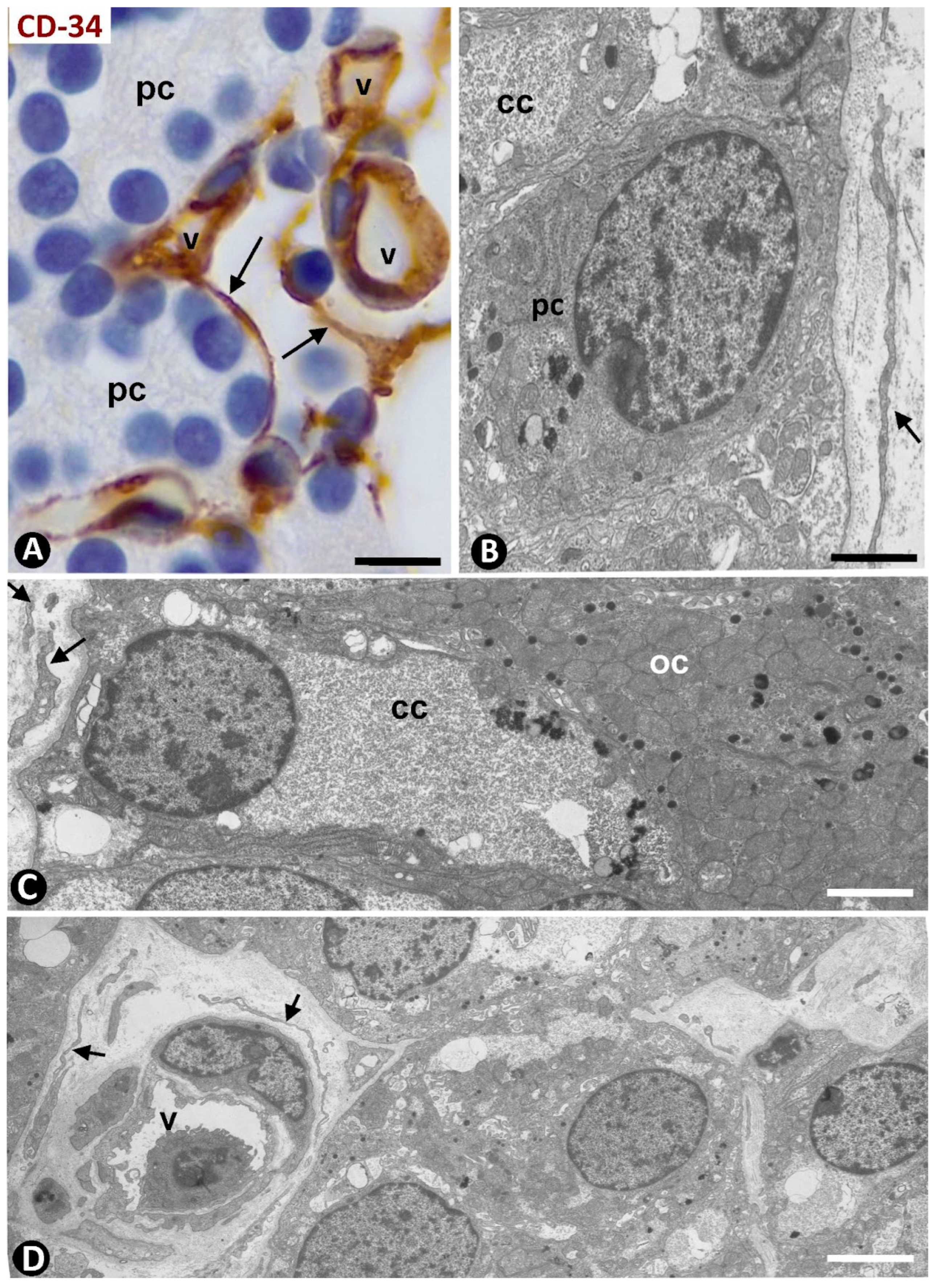 Ijms 24 12118 g009 Ijms 24 12118 g009